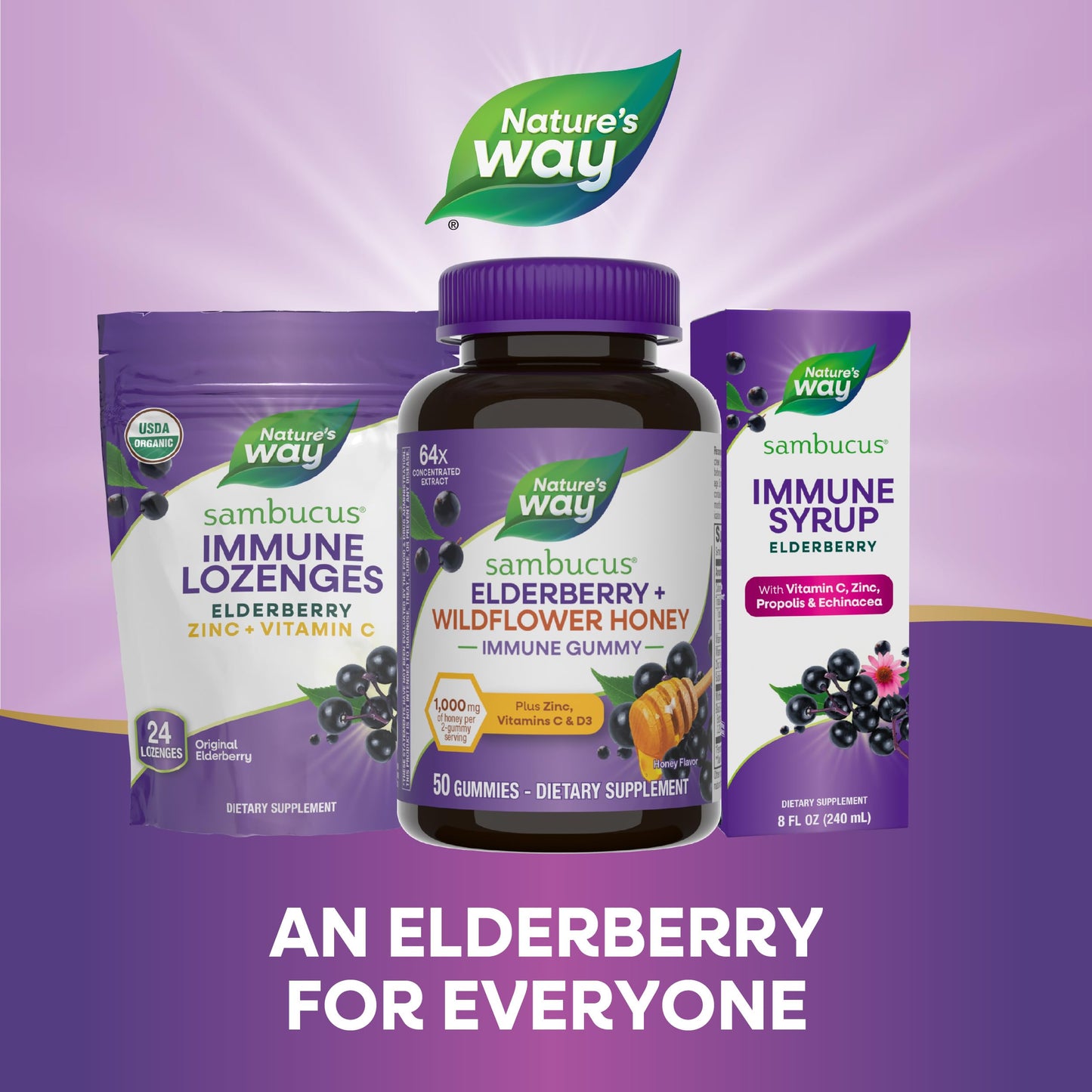 Nature's Way Sambucus Elderberry + Wildflower Honey Immune Gummy, 50 Gummies