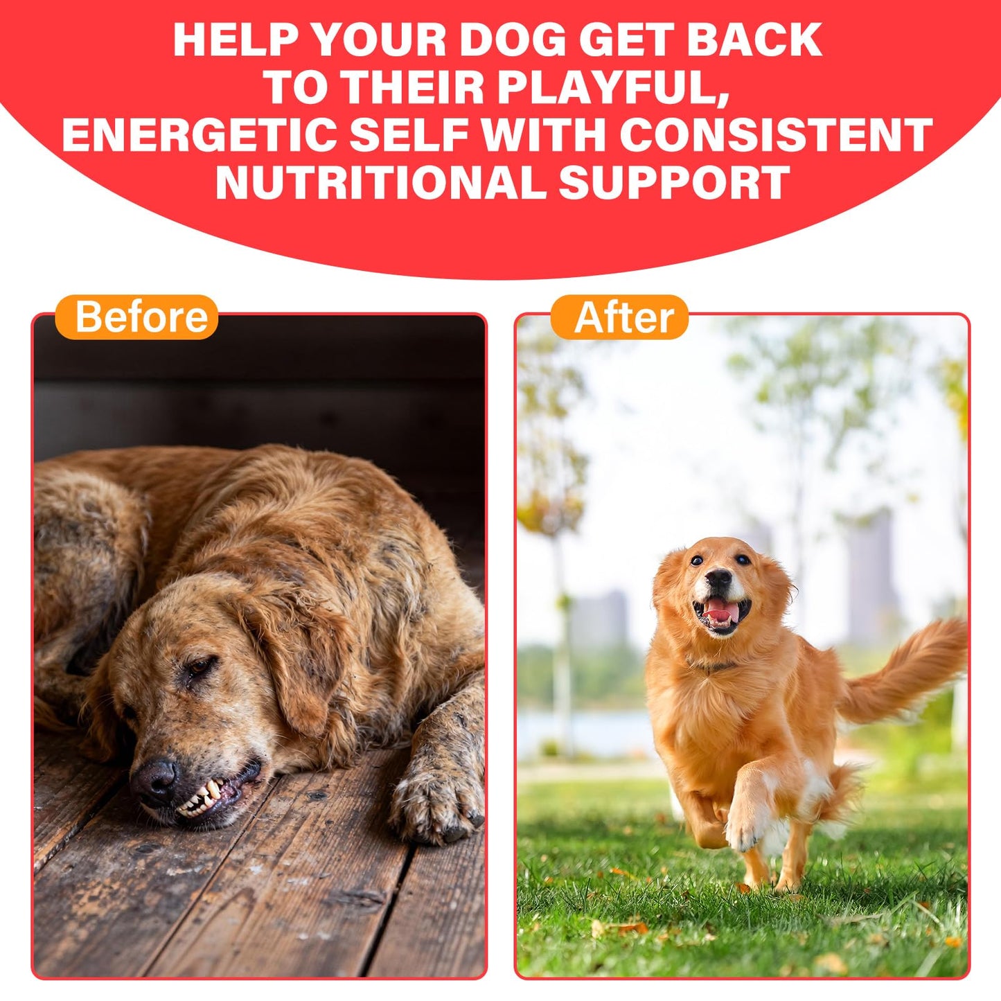 VivaElixir Iron Supplement for Dogs, 120 Tablets