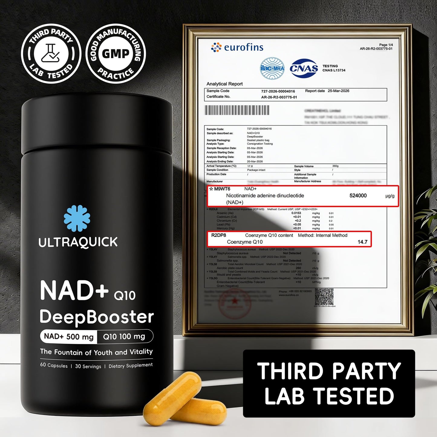 ULTRAQUICK NAD+ Supplement 500mg with CoQ10 100mg Capsules, 60 Count