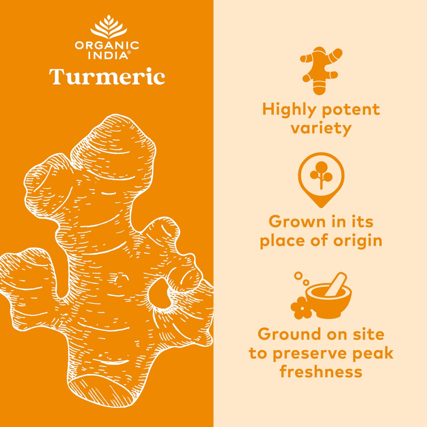 ORGANIC INDIA Turmeric Curcumin Herbal Supplement Capsules, 180 Capsules