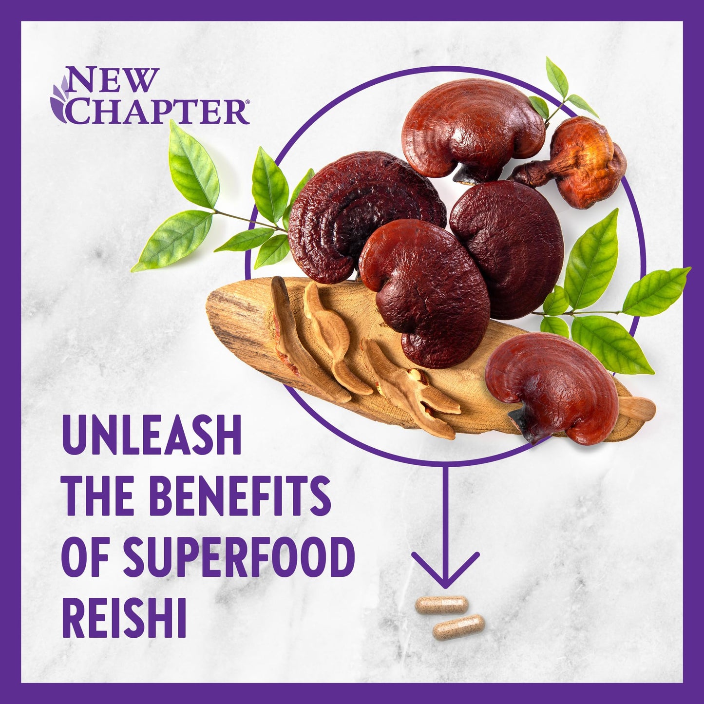 New Chapter Superfood Reishi Mushroom Capsules, 60 Count