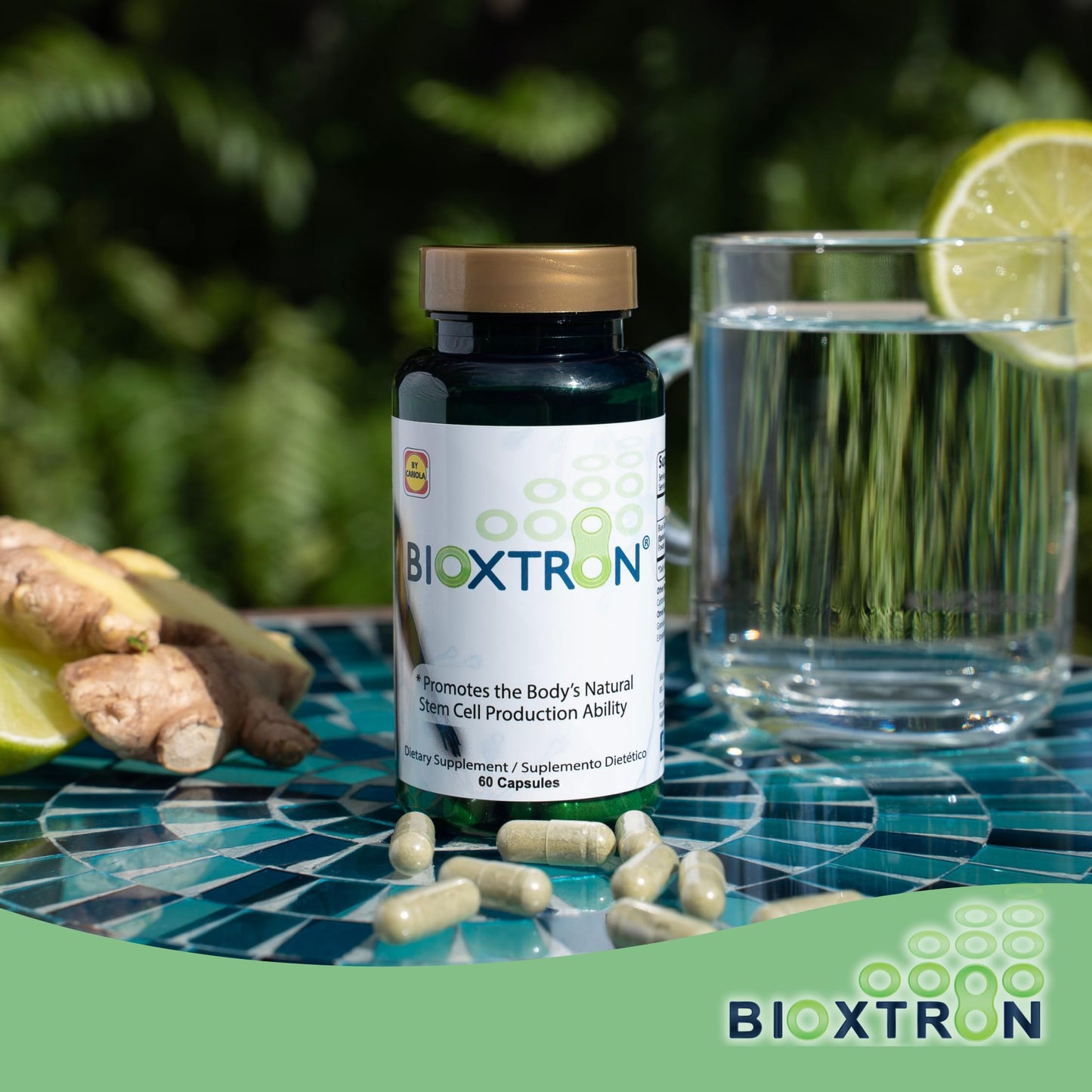 Bioxtron Natural AFA Stem Cell Supplement Capsules 180 Count