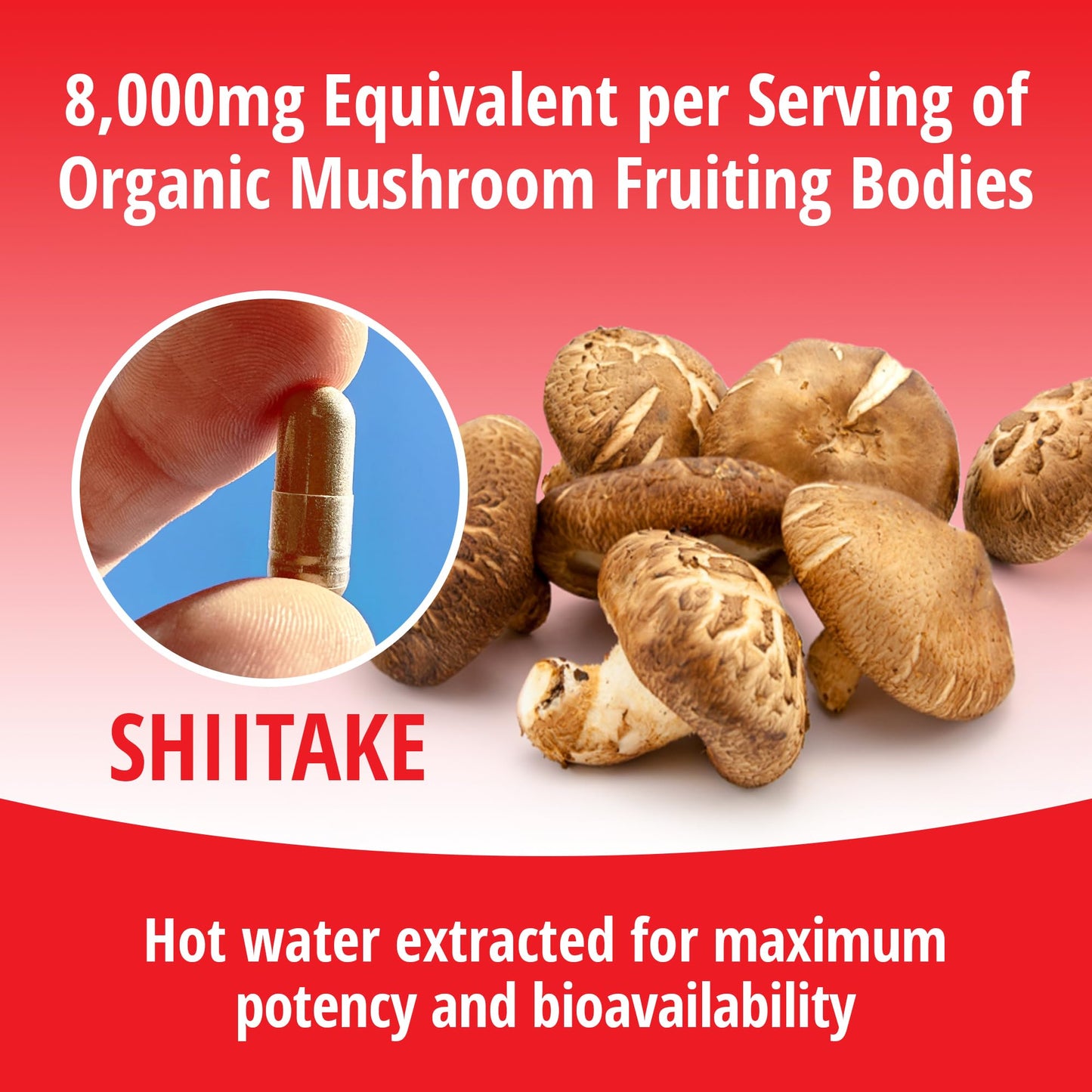 ENCAPSULATE Shiitake 8:1 Extract – Premium Organic Fruiting Body 8:1 Extract – Adaptogen Mushroom Supplement for Heart Health, Vitality, Antioxidant & Immune Support 60 Capsules
