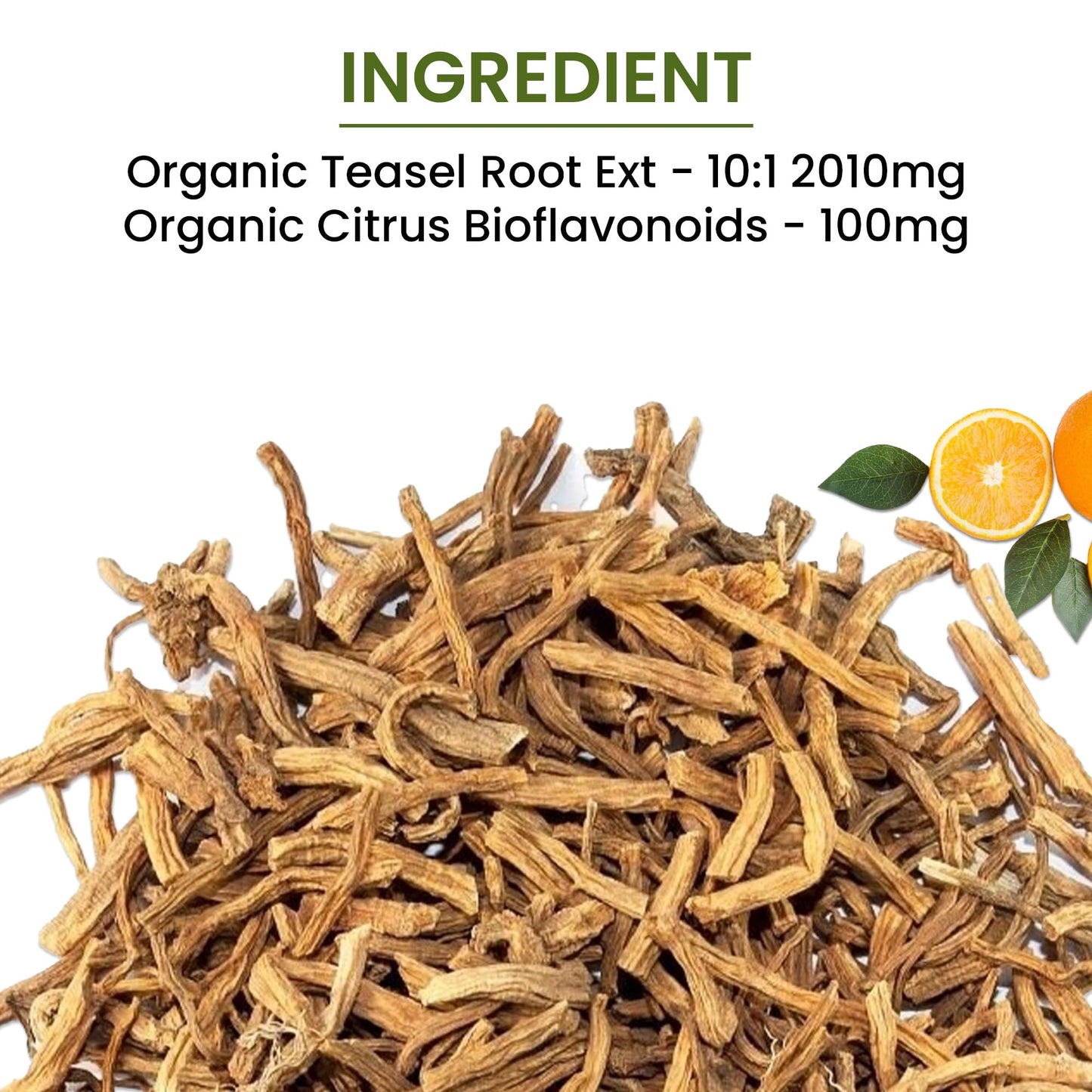 Green Organic Supplements Lyme Disease Teasel Root Capsule 90 Count