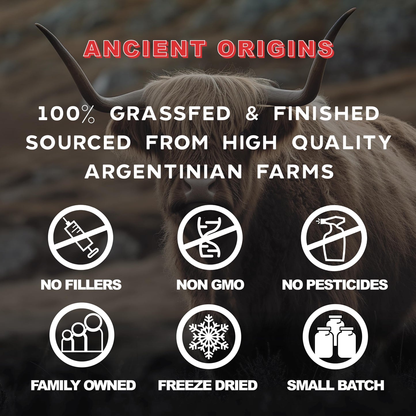 Ancient Origins Grass-Fed Bone Marrow Supplement Capsules 180 Capsules