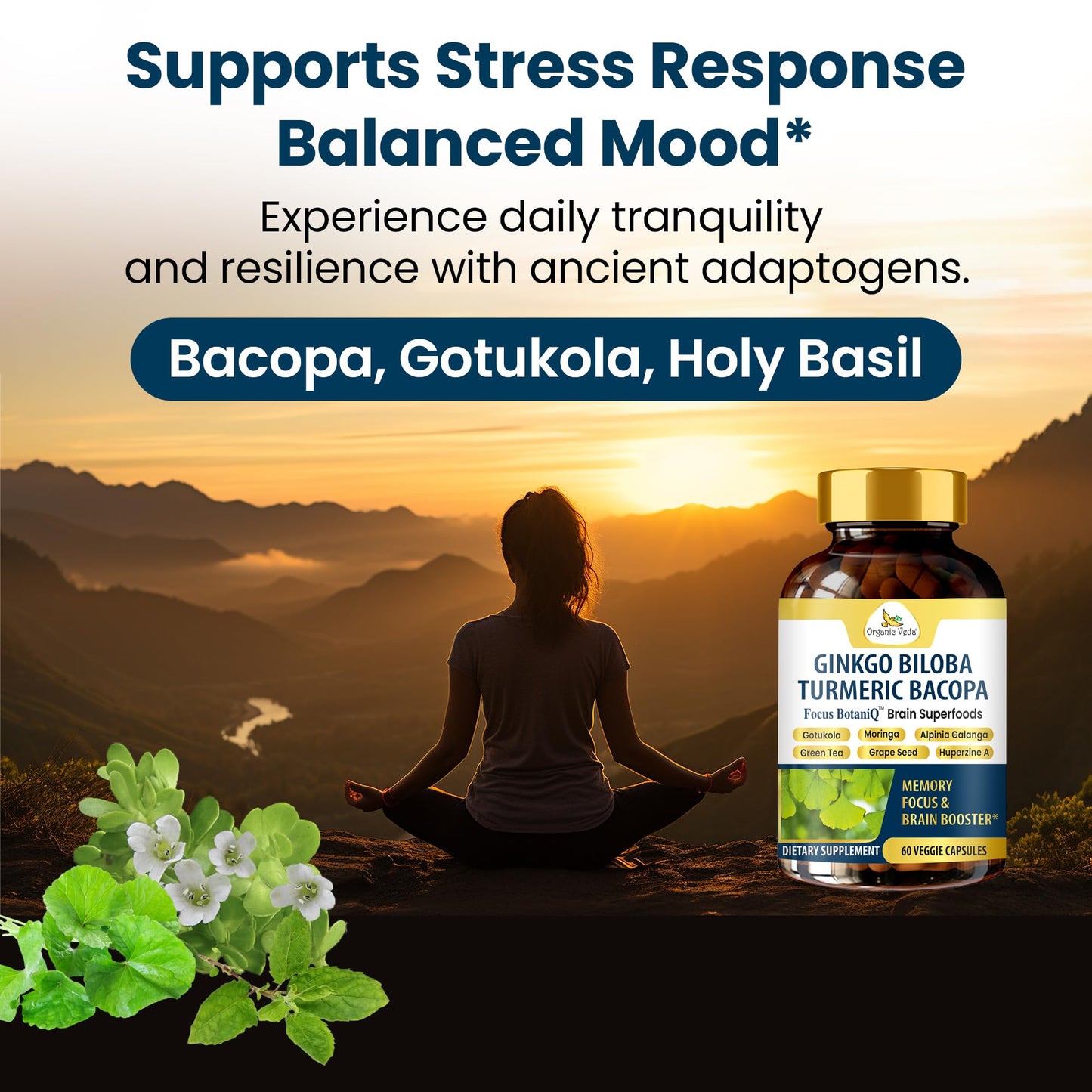 Organic Veda Ginkgo Biloba Turmeric Bacopa Brain Supplements 60 Capsules