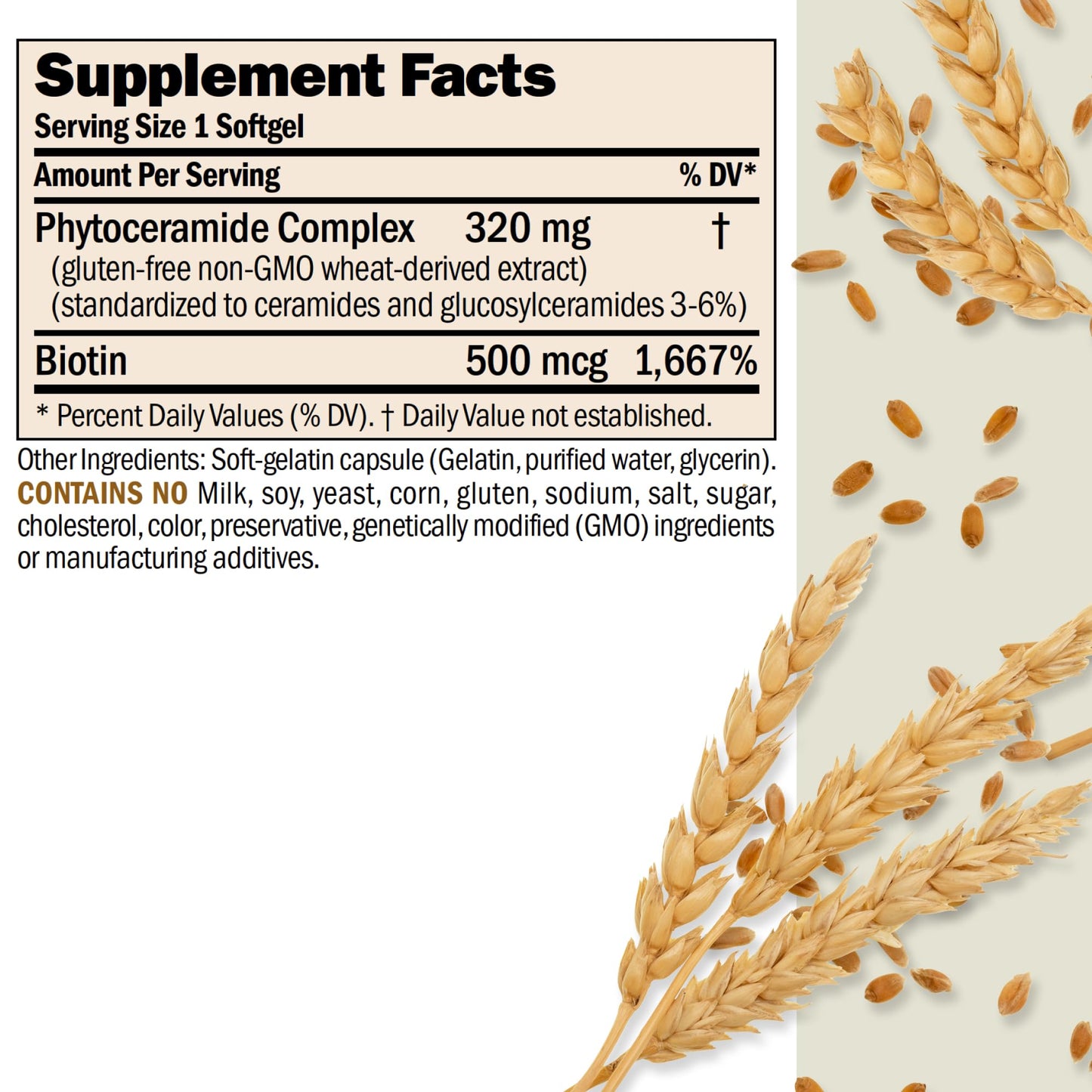ANDREW LESSMAN Phytoceramides with Biotin Capsules 60 Count