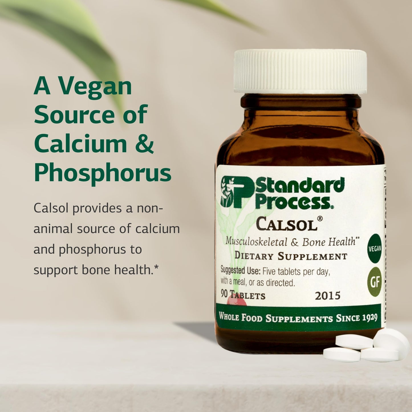 Standard Process Inc. Calsol 90 Tablets
