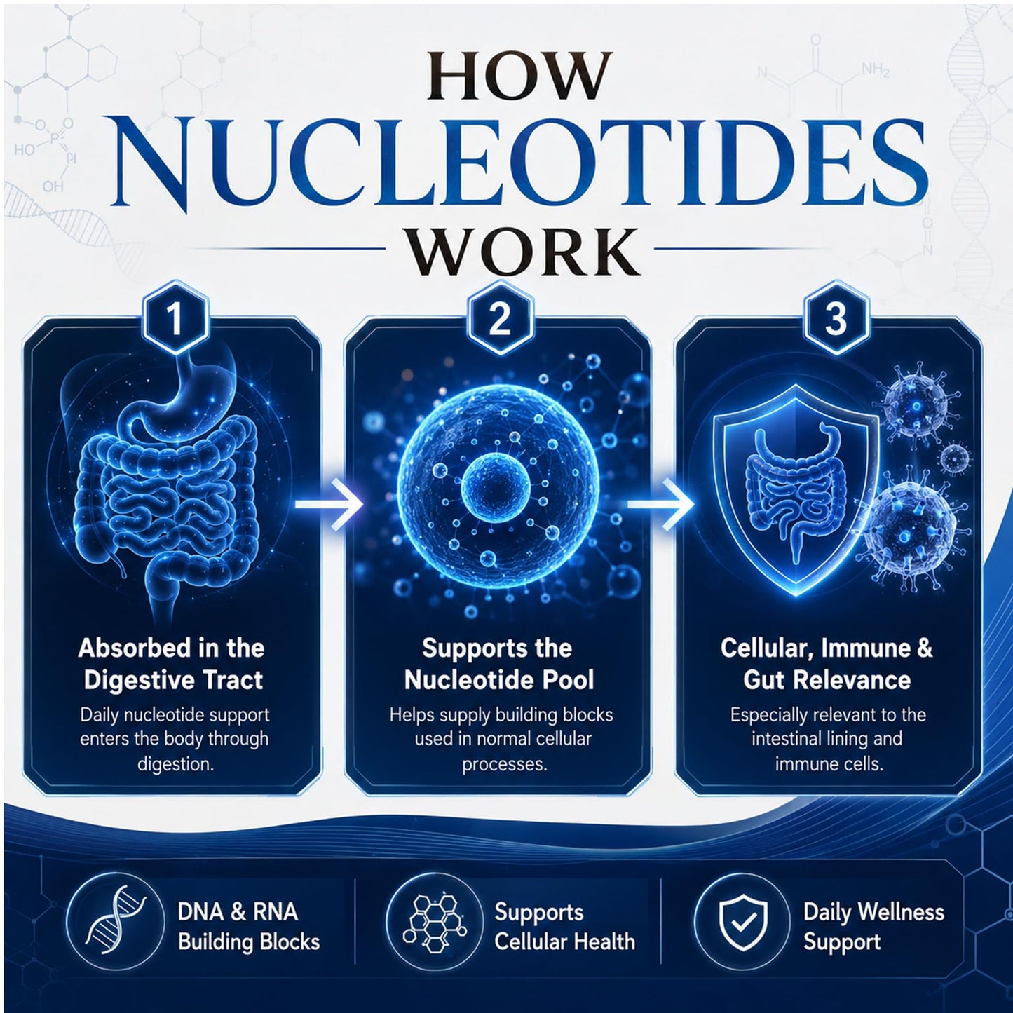 Clenoriko Nucleotide Complex 400mg with Microbeadlet Technology Matrix, DNA & RNA Building Block, 60 Capsules