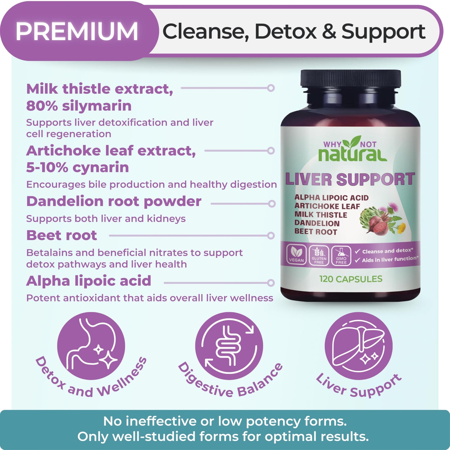 Why Not Natural 5-in-1 Liver Health Formula with Milk Thistle, 120 Capsules
