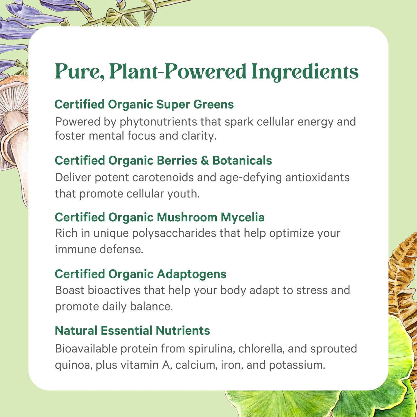 PURE SYNERGY Organic Superfood Powder 12.5 oz