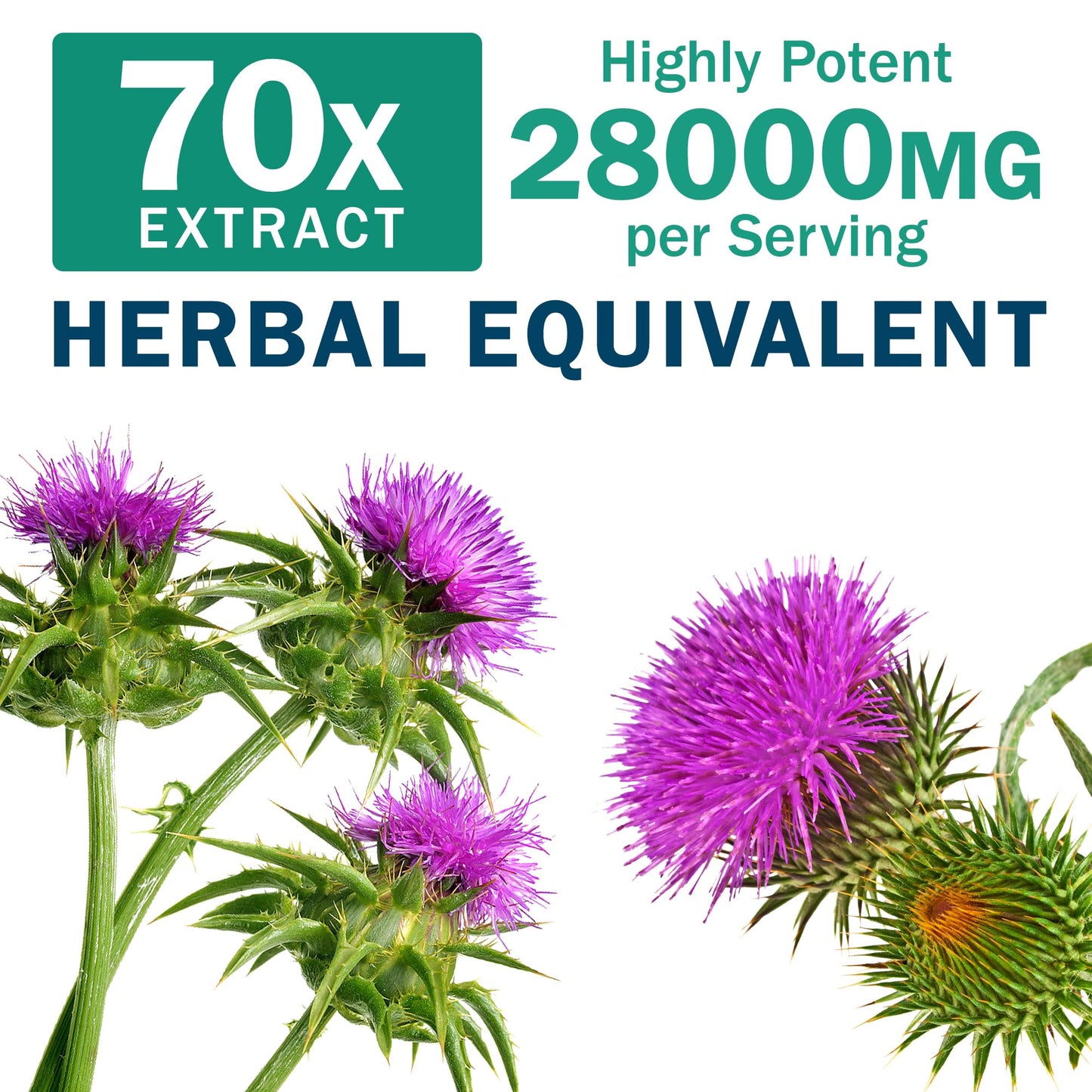 NYO3 Milk Thistle 200mg Liver Detox Supplement with Dandelion Root & Artichoke Extract, 60 Capsules