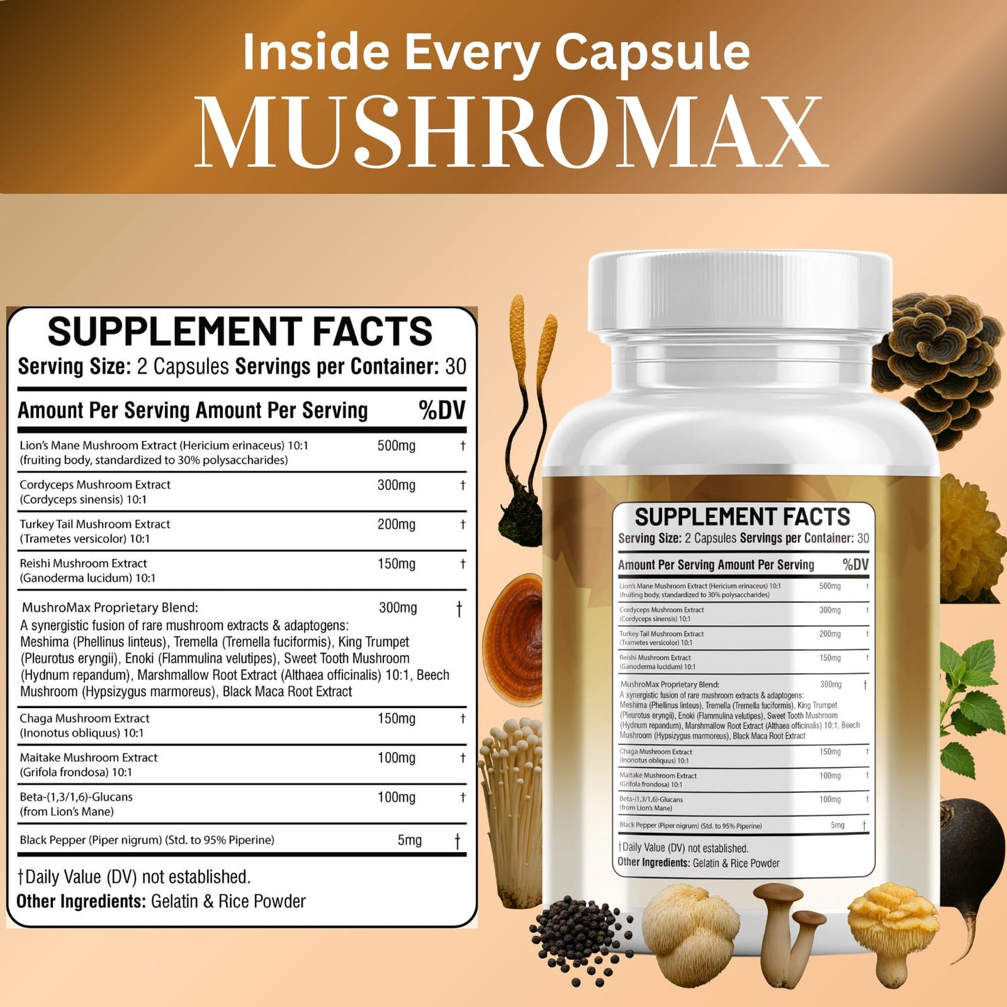 Kun Shafi Lions Mane Mushroom Supplement 20in1 with Turkey Tail Reishi Cordyceps Chaga Maitake Meshima Poria Cocos Shiitake Oyster Porcini Enoki 60 Capsules