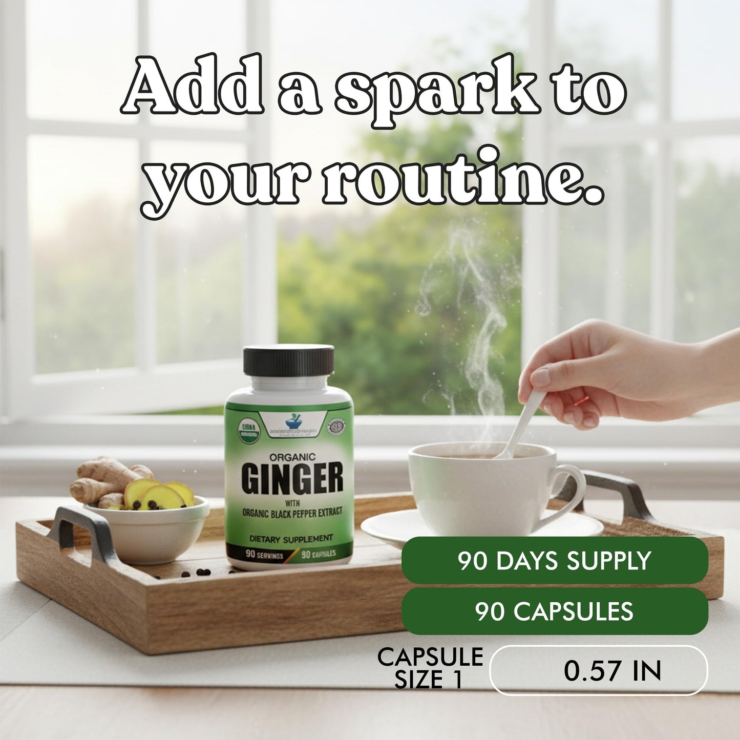 American Standard Supplements Organic Ginger Extract with Organic Black Pepper Extract 90 Capsules