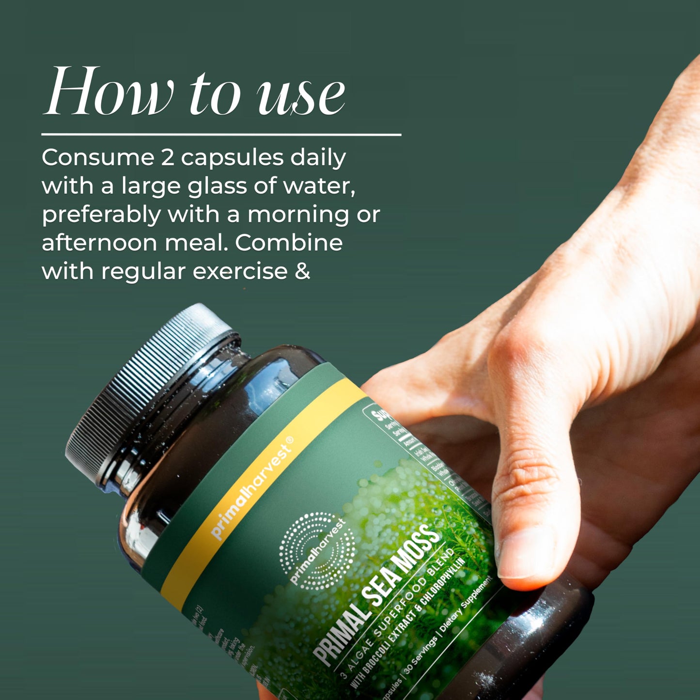 Primal Harvest Sea Moss Capsules with Bladderwack and Irish Sea Moss, Chlorella, Broccoli Seed Extract, 60 Capsules