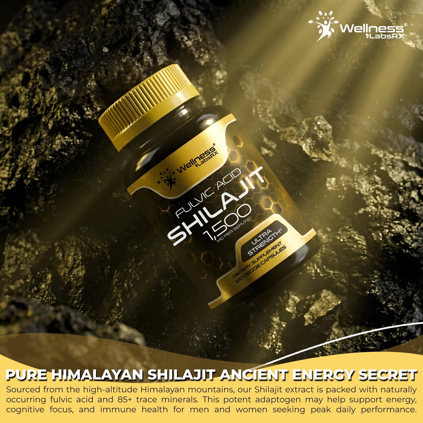 WELLNESS LABSRX Himalayan Shilajit Capsules for Men and Women, 1500mg per Serving with Fulvic Acid, Enhanced Energy and Immune Support, 240 Capsules
