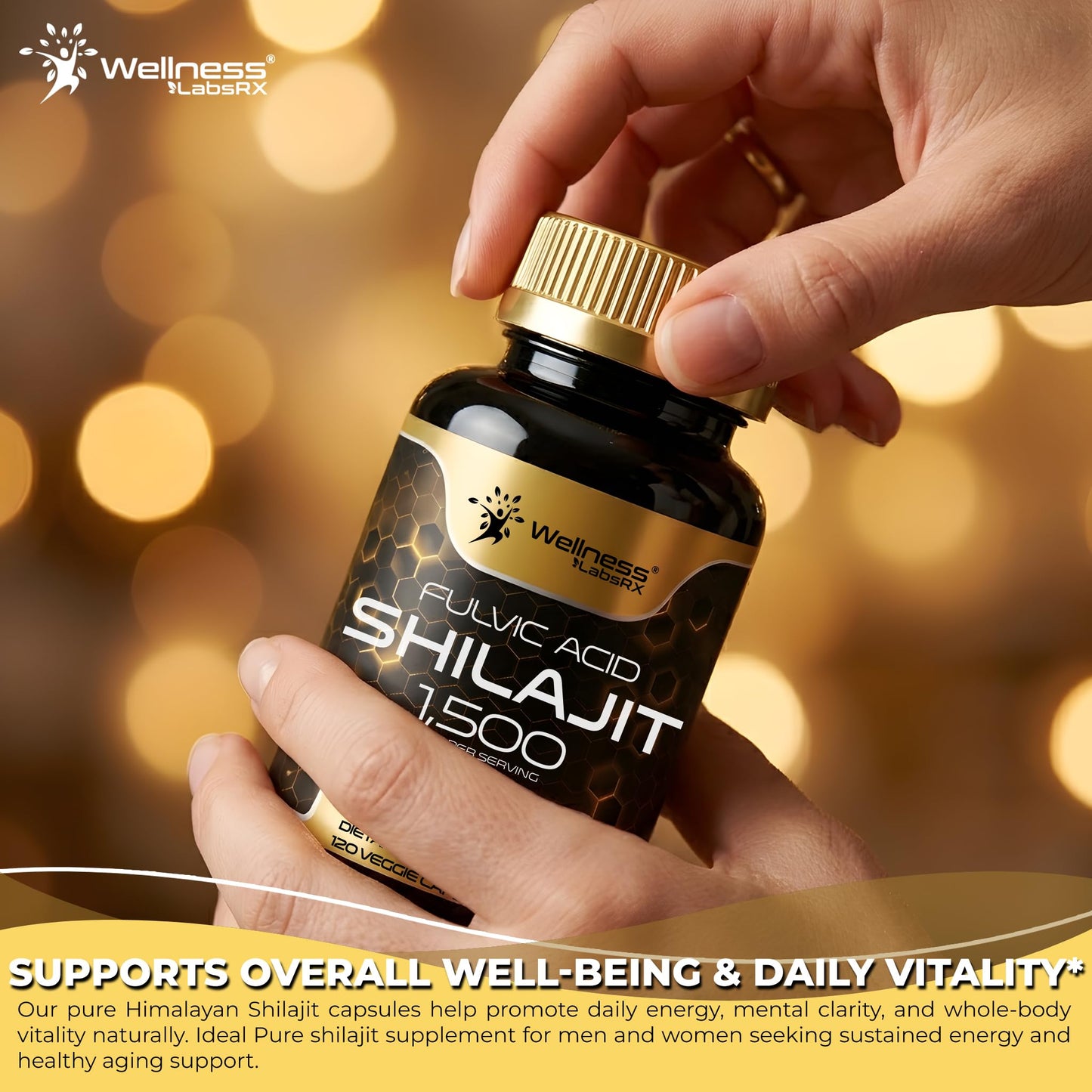 WELLNESS LABSRX Himalayan Shilajit Capsules, 240 Capsules