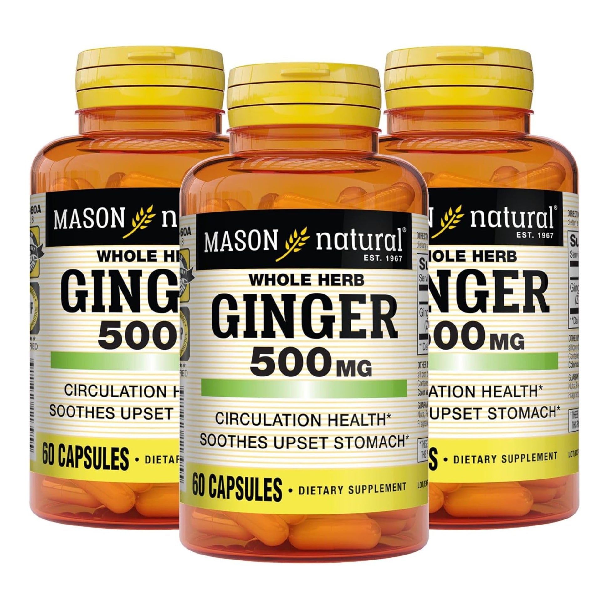 Mason Natural Whole Herb Ginger 500 mg Capsule, 180 Capsules