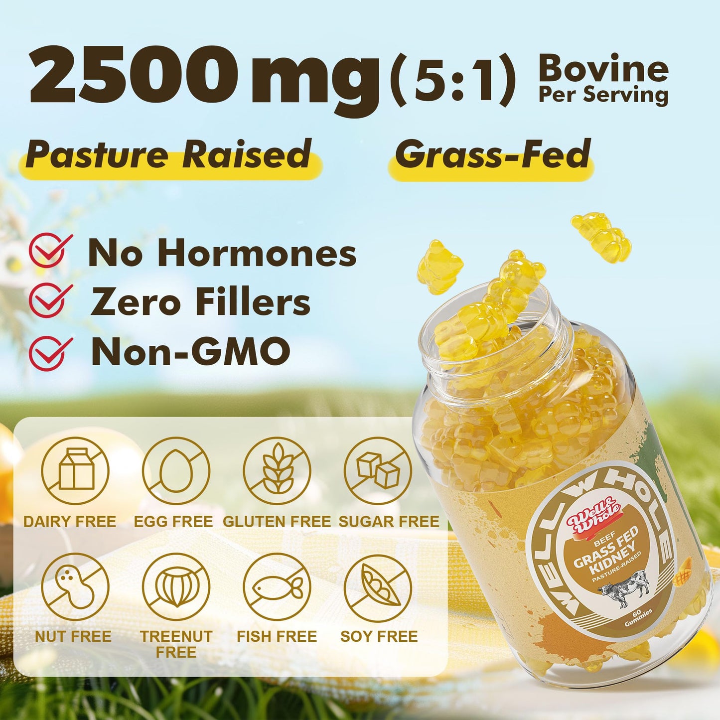 Well&Whole Grass Fed Beef Kidney Gummies DAO Enzyme & Histamine Balance Support Supplement, Gummy, 60 Count