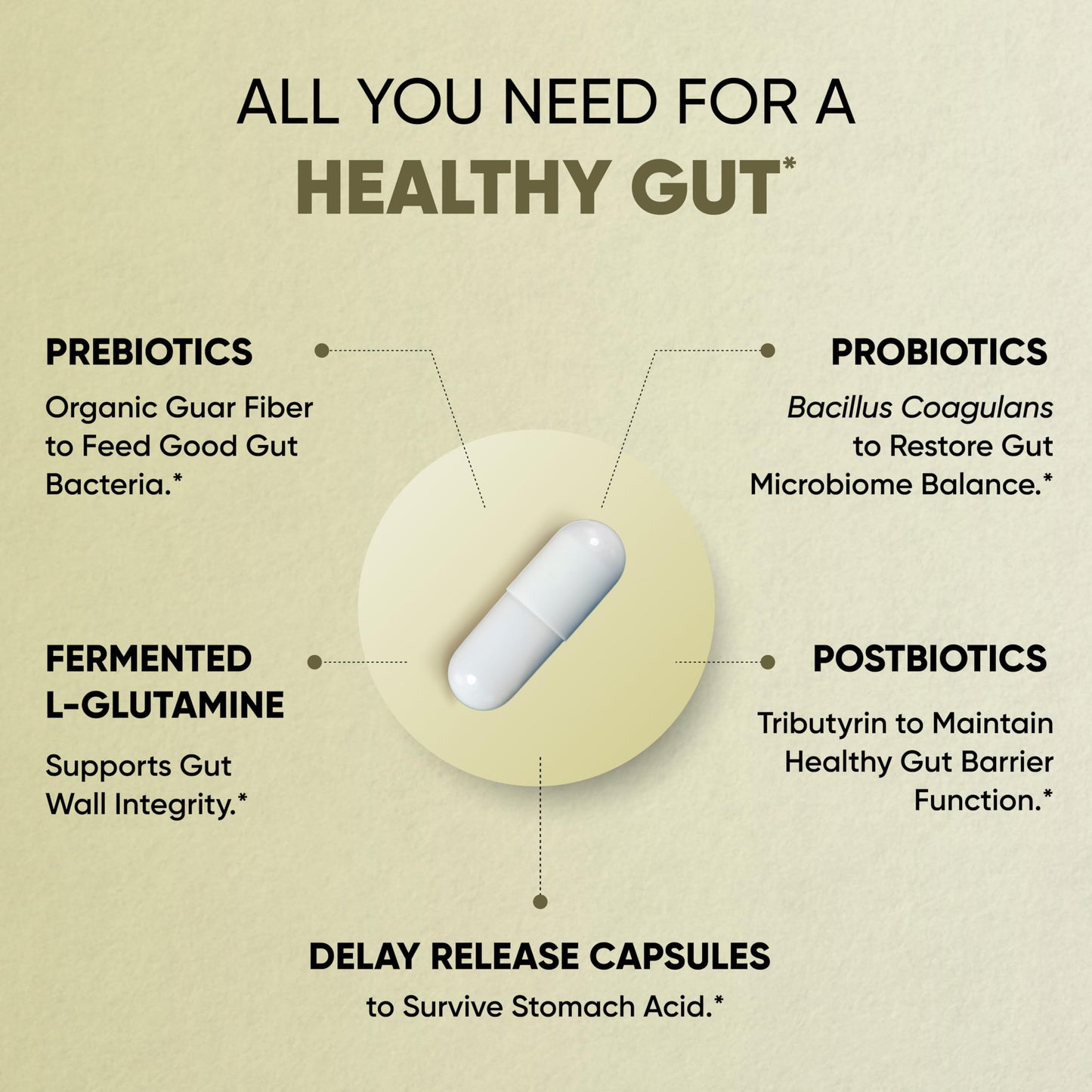 Sandhu's Gut Health Prebiotic, Probiotic, Postbiotic & L-Glutamine Capsules, 120 Count