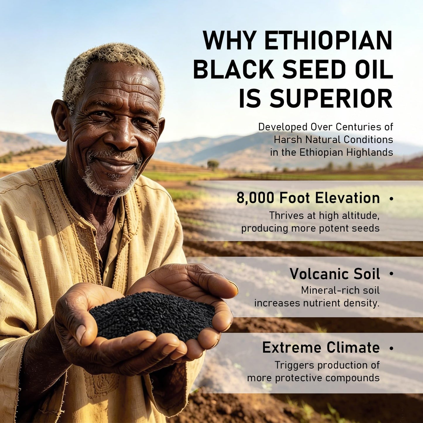 muoyid Ethiopian Black Seed Oil Capsules with 4.64% Thymoquinone, Immune Support & Digestion & Energy Booster, Non-GMO, Gluten-Free, 1 Capsule