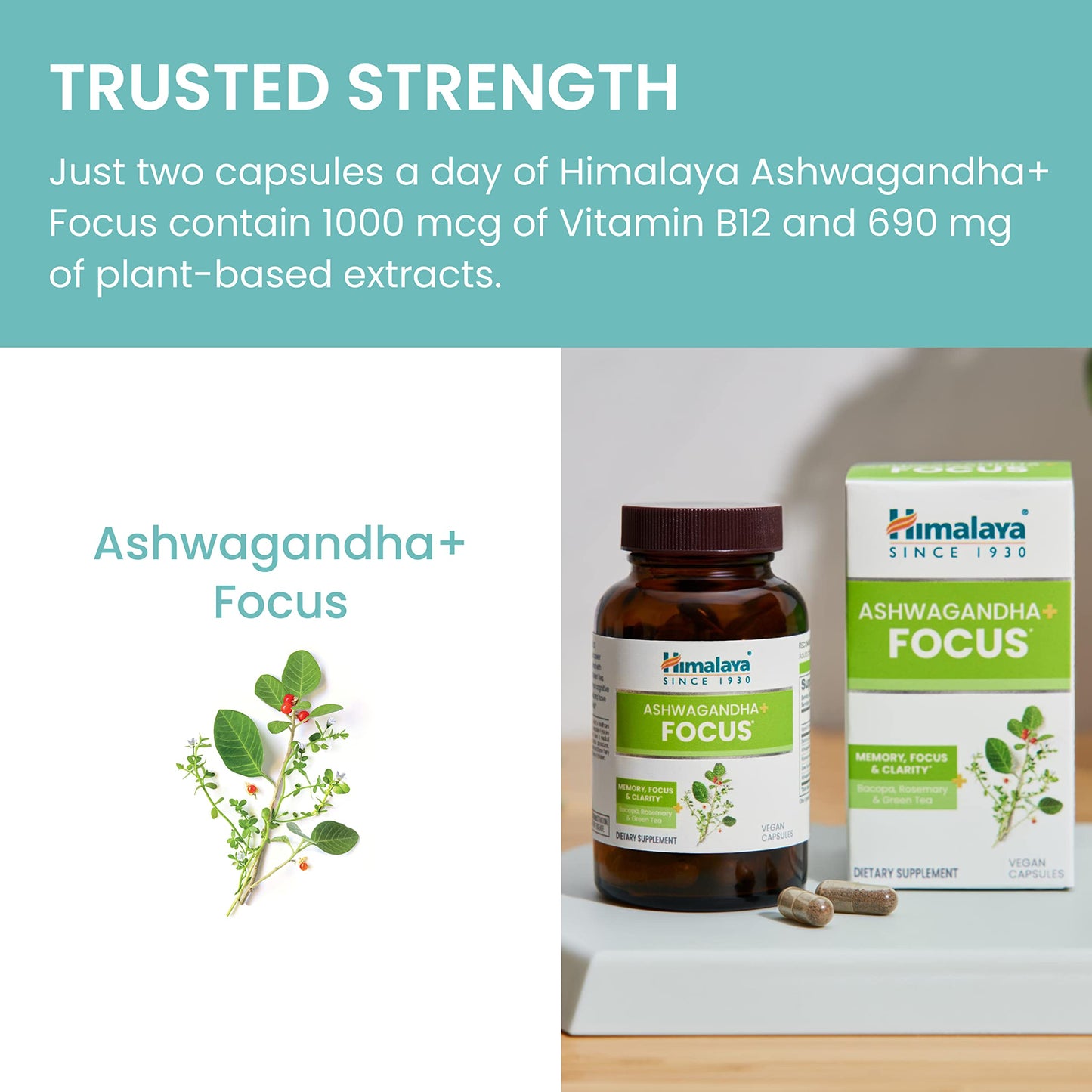 Himalaya Ashwagandha+ Focus - Herbal Focus Supplement with B12, Rosemary, Green Tea, and Bacopa Nootropics for Memory and Clarity Capsules, 60 Count