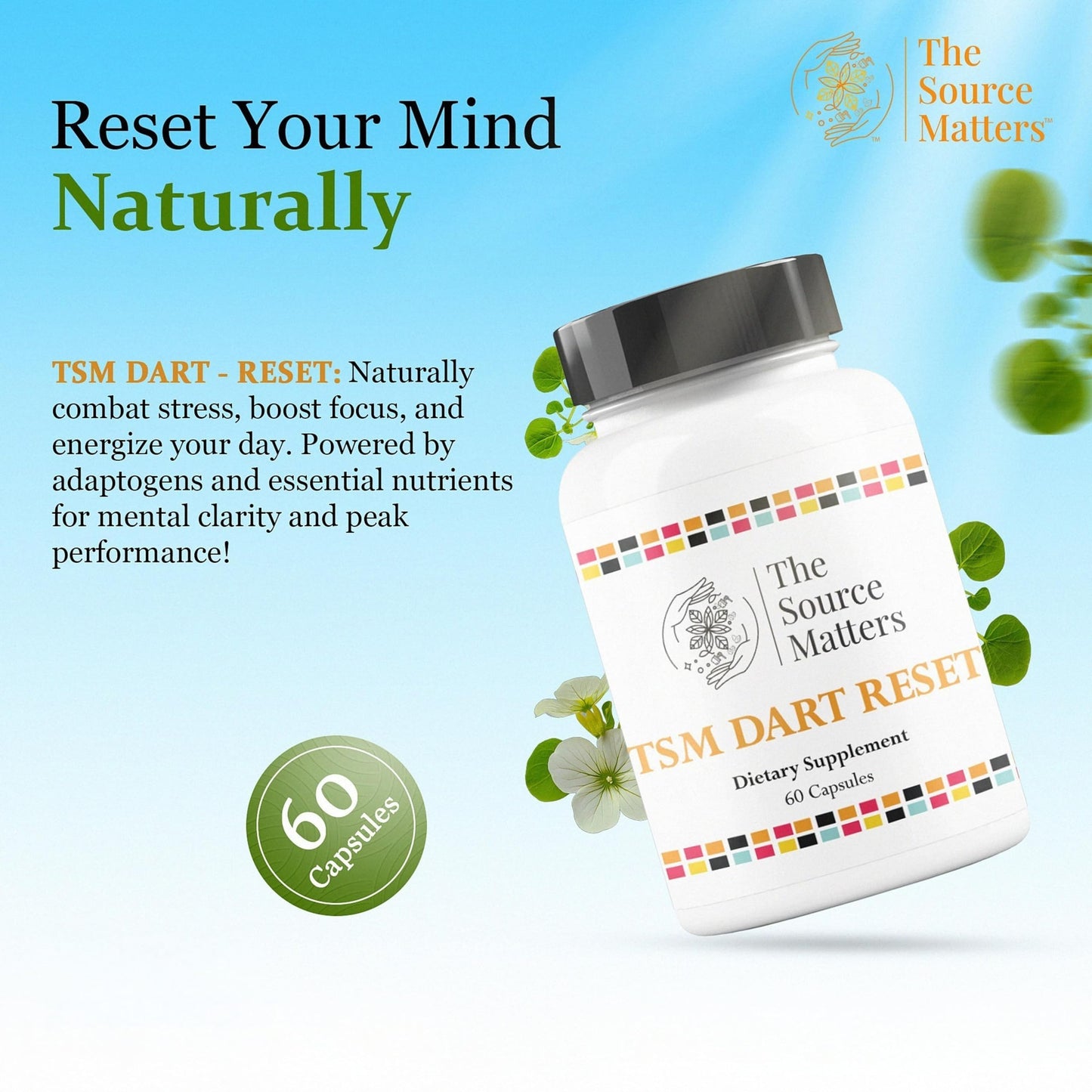 THE SOURCE MATTERS Dart Reset Dietary Supplement Capsule 60 Count