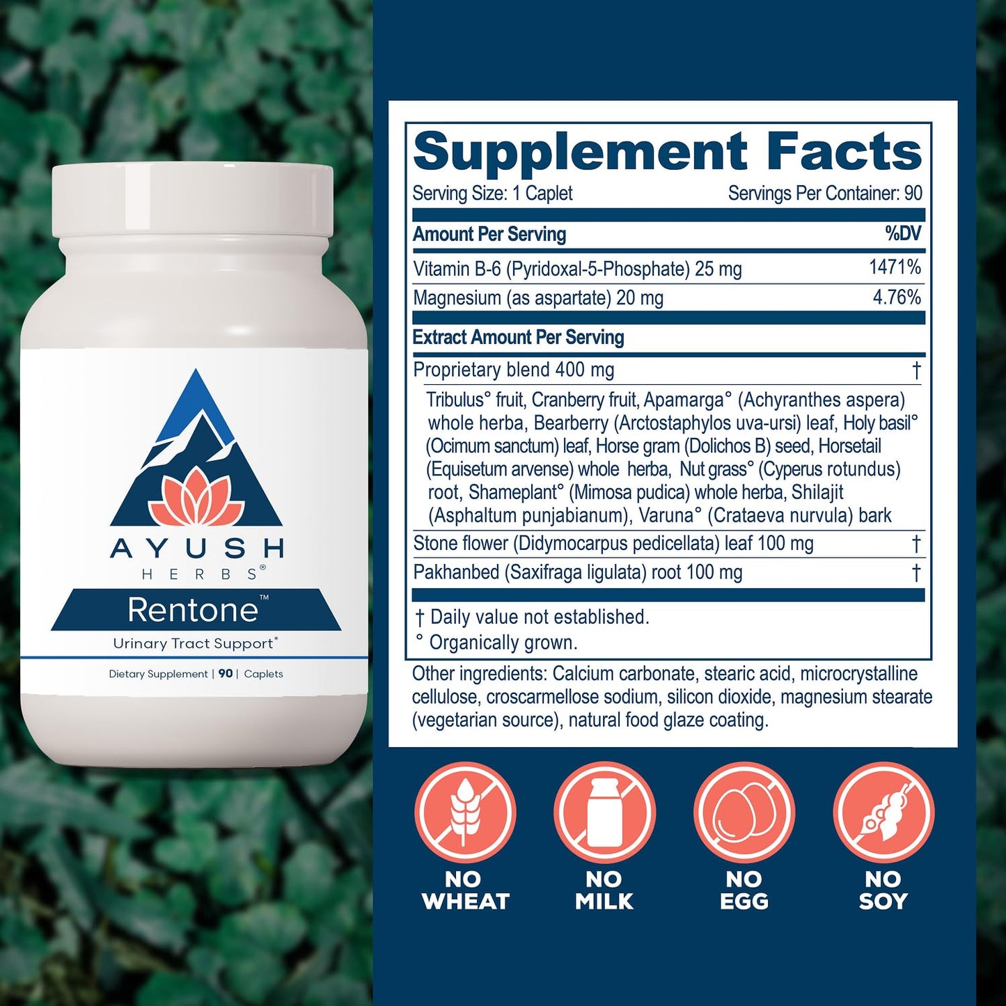 Ayush Herbs Rentone Kidney Support Supplement with Cranberry Caplets 90 Count