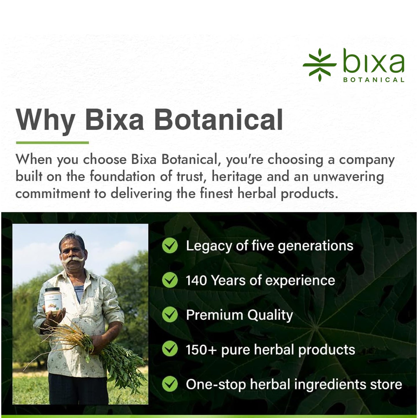 bixa BOTANICAL Gymnema Leaf Powder 16 Oz