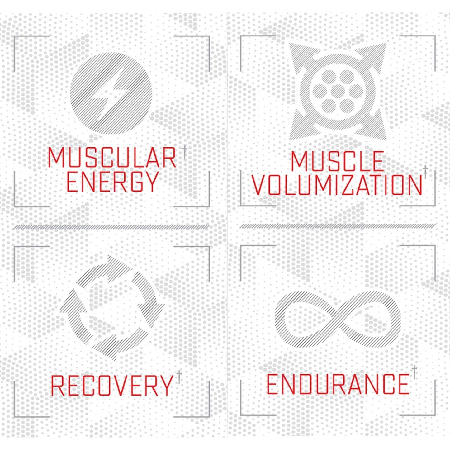 Purus Labs Foundation Series Citrulline Malate Powder 7