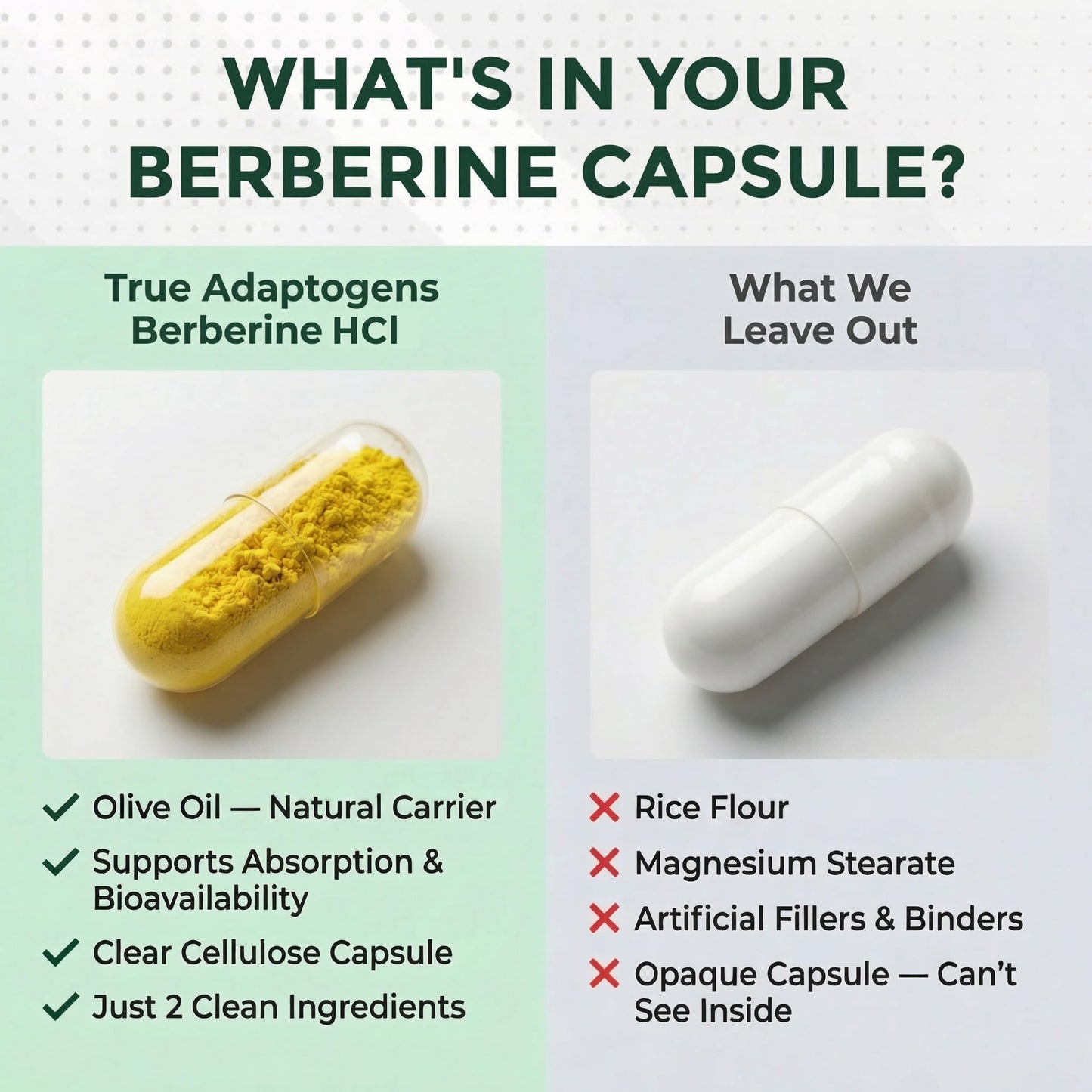 True Adaptogens Berberine HCl 800mg – 97% Pure Dual Extract with Olive Oil for Absorption – Berberina Herbal Clean Formula Capsule 60 Count