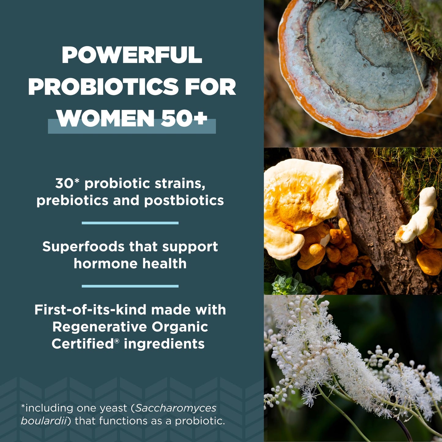 Ancient Nutrition Probiotics & Multi Collagen Capsules, 180 Capsules