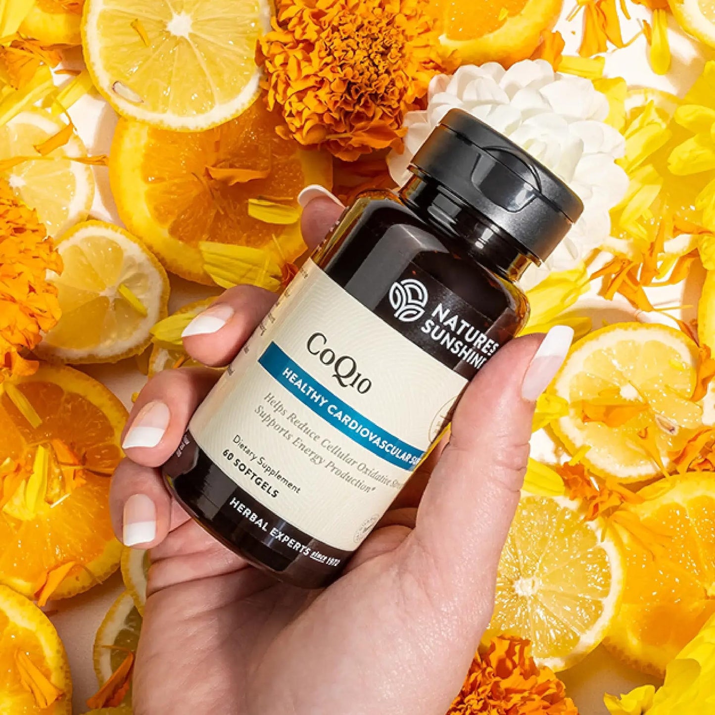 Nature's Sunshine CoQ10 Softgel Capsules 60