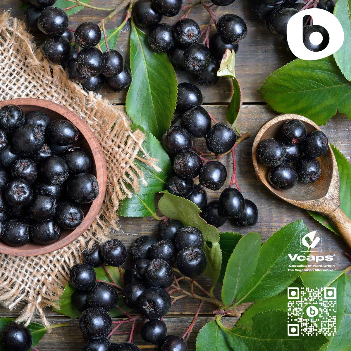 b Organic Aronia Berry 90 Capsules
