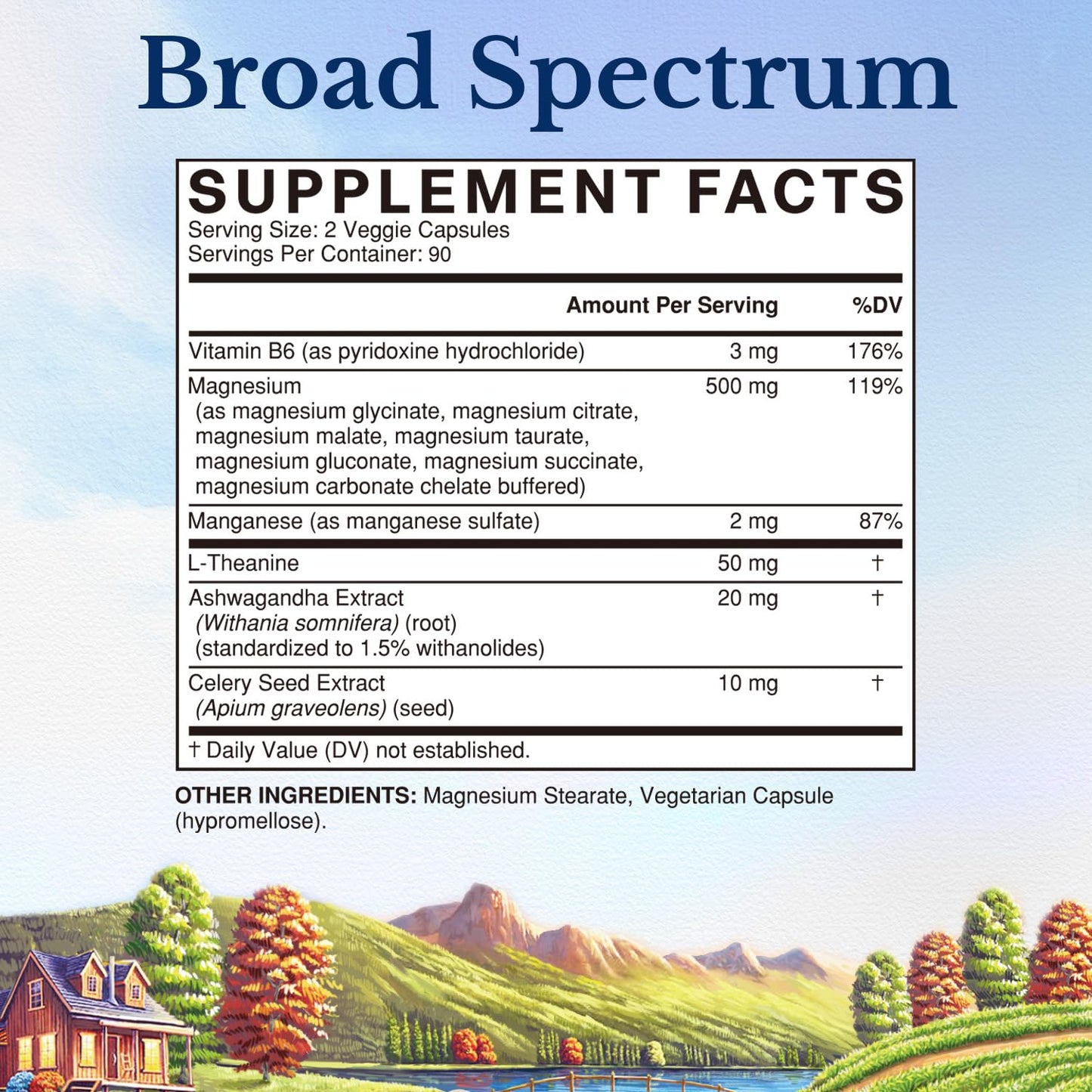 Vitalitown Magnesium Complex Supplement Capsule 180 Count