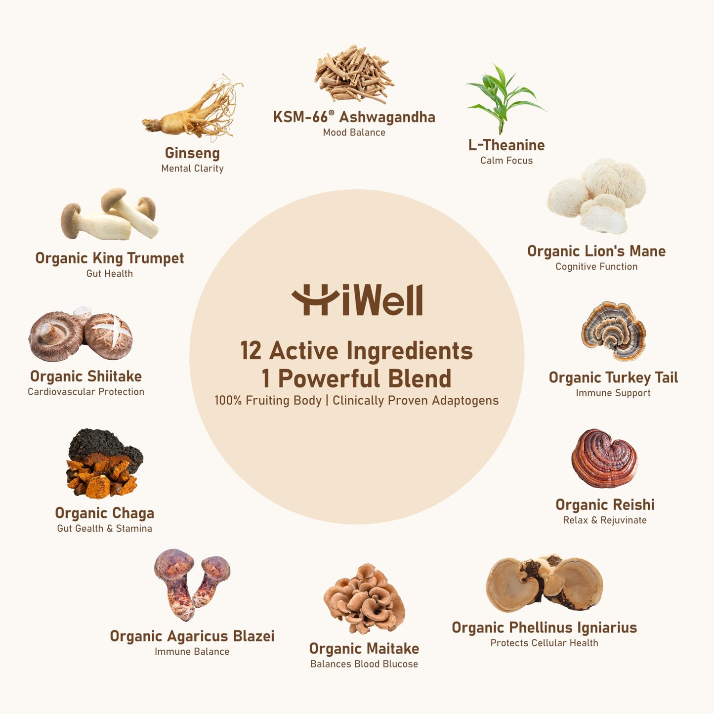 HiWell Absorfyx Strong Taste Mushroom Coffee Powder 5.3 oz