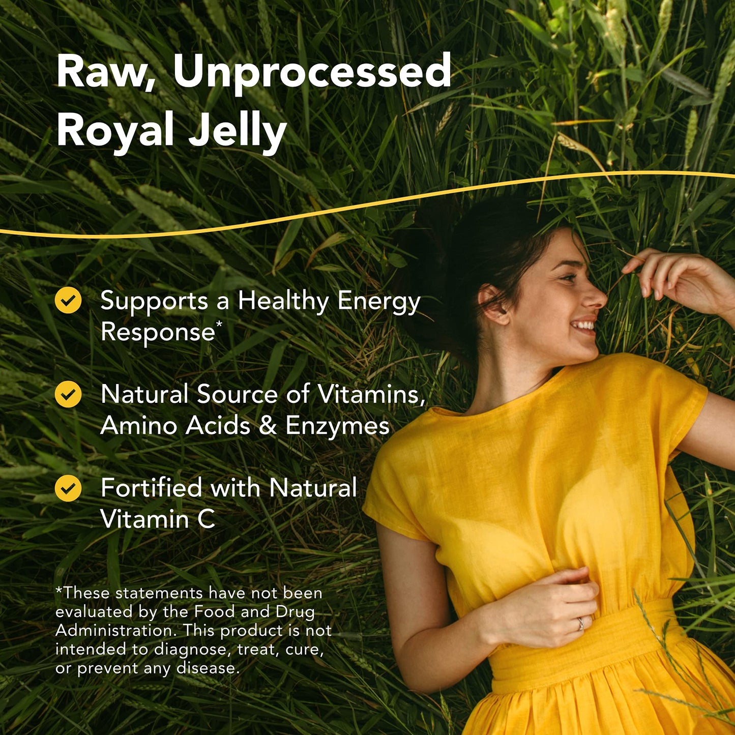 North American Herb & Spice Royal Power Royal Jelly Concentrate Capsules, 120 Count