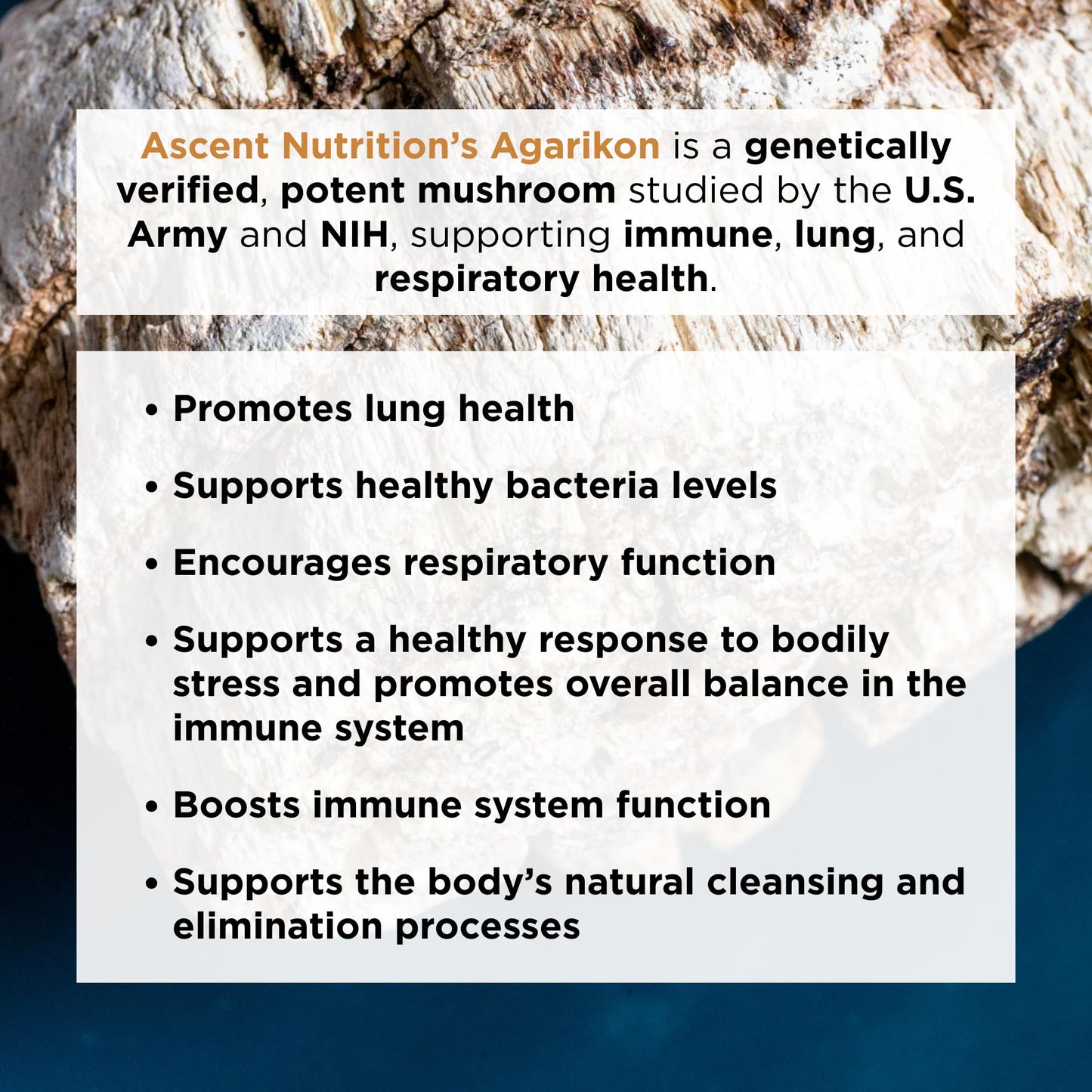 Ascent Nutrition Organic Agarikon Mushroom Powder, 2.12 oz