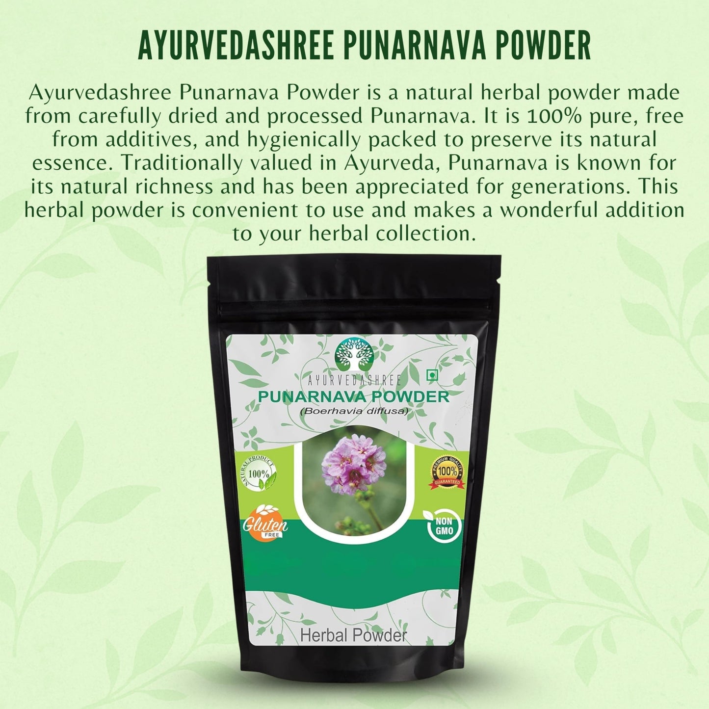 AYURVEDASHREE Punarnava Powder 1.76 Ounce