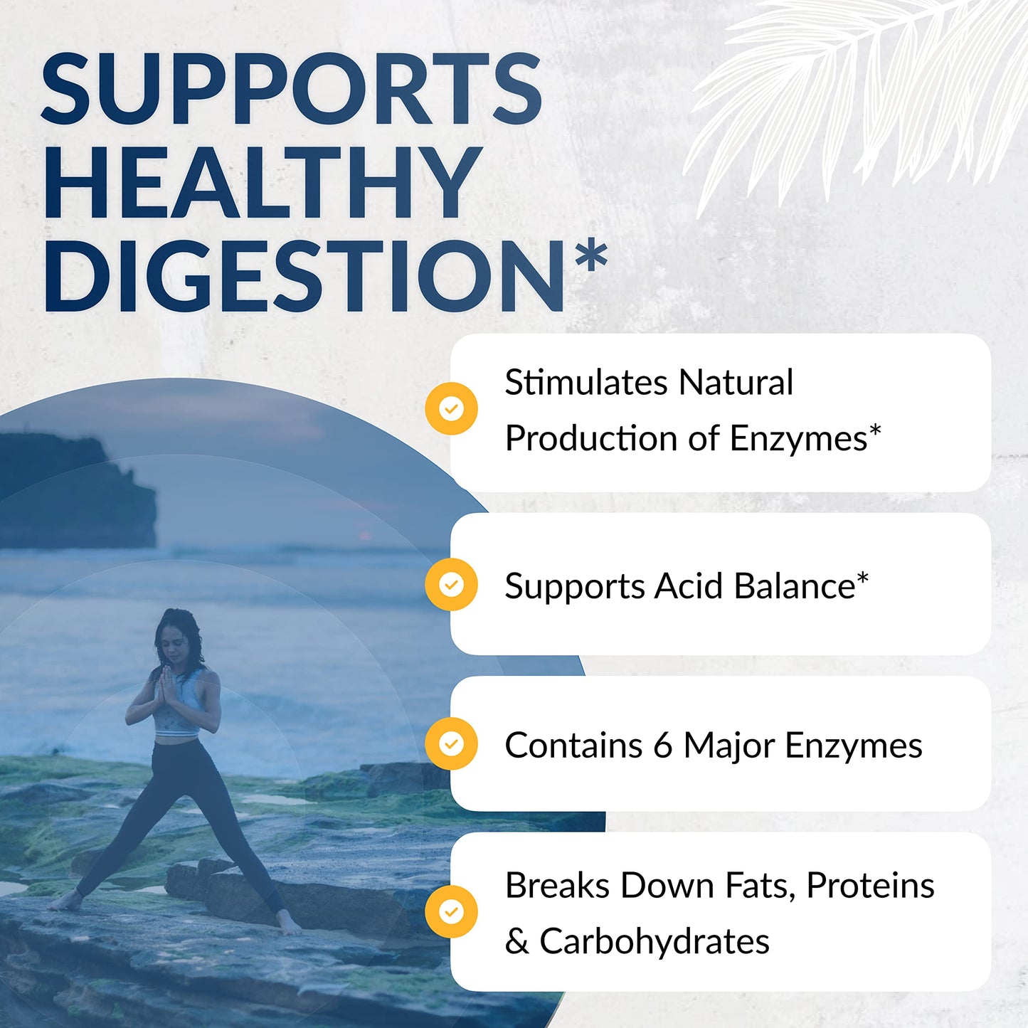 Equilife Daily Digestive Enzymes, Bromelain, Lactase & Lipase 90 Capsules