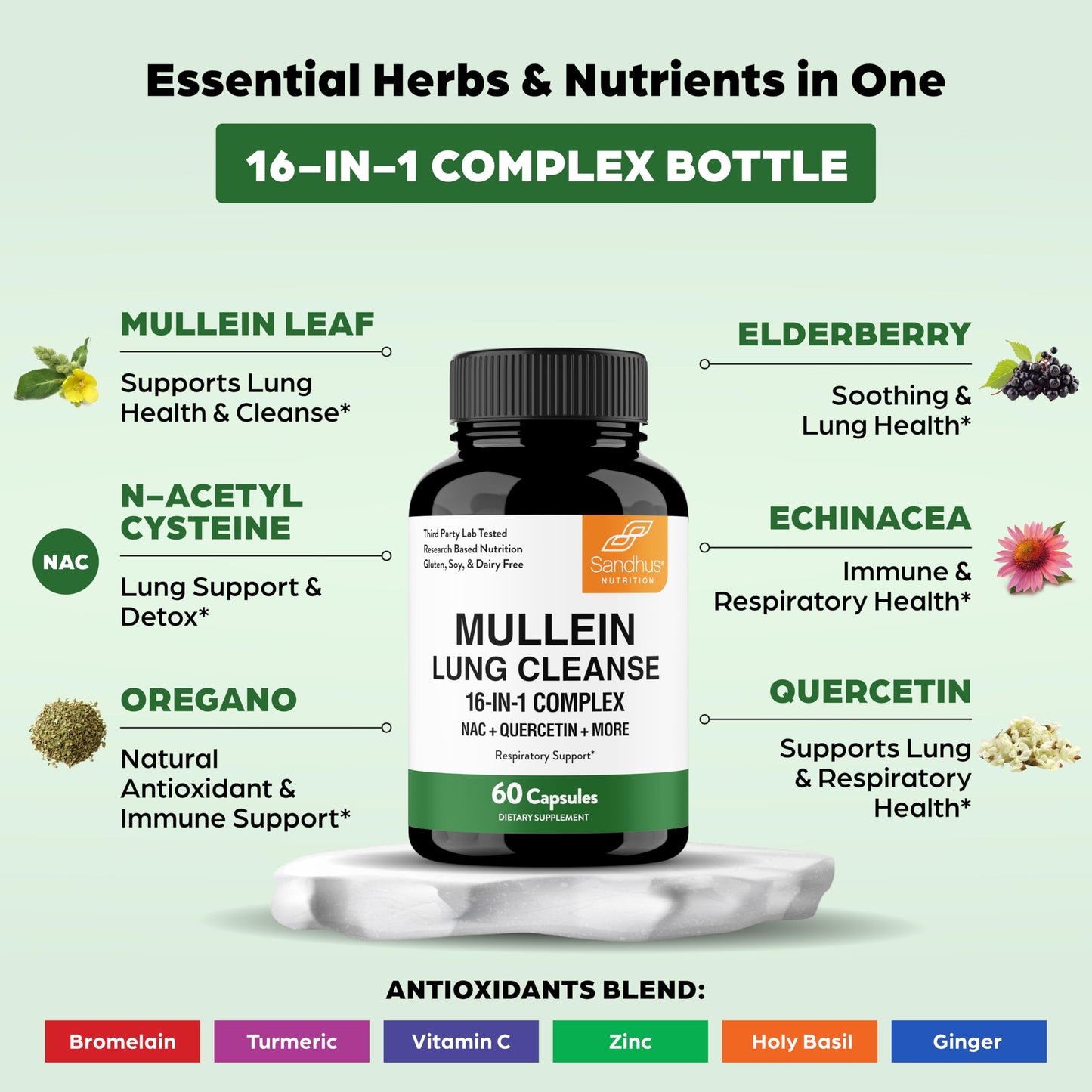 Sandhu's Mullein Capsules for Lungs with Quercetin, Mullein Leaf Extract Supplement for Immune, Lung & Respiratory Health Support, 60 Capsules