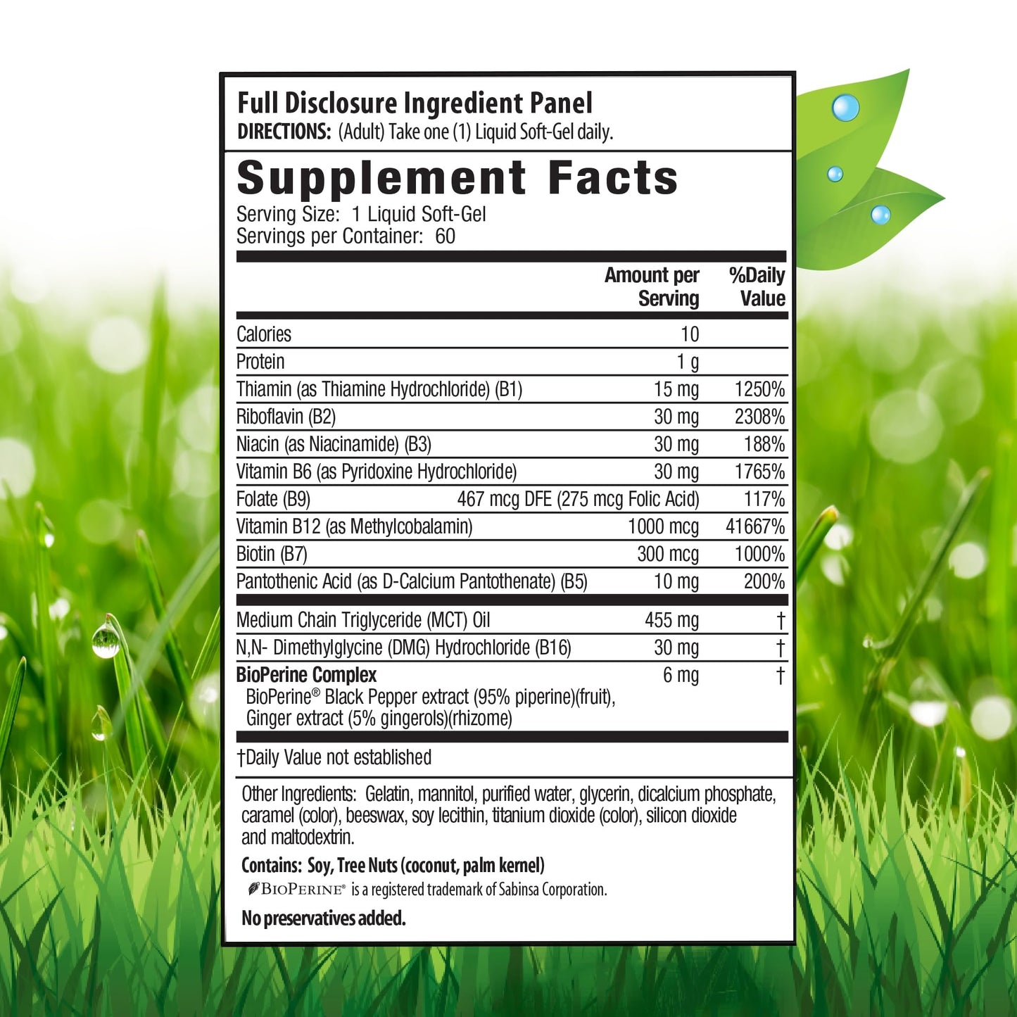 Irwin Naturals Advanced Absorption Mega-B Complex Softgels 60