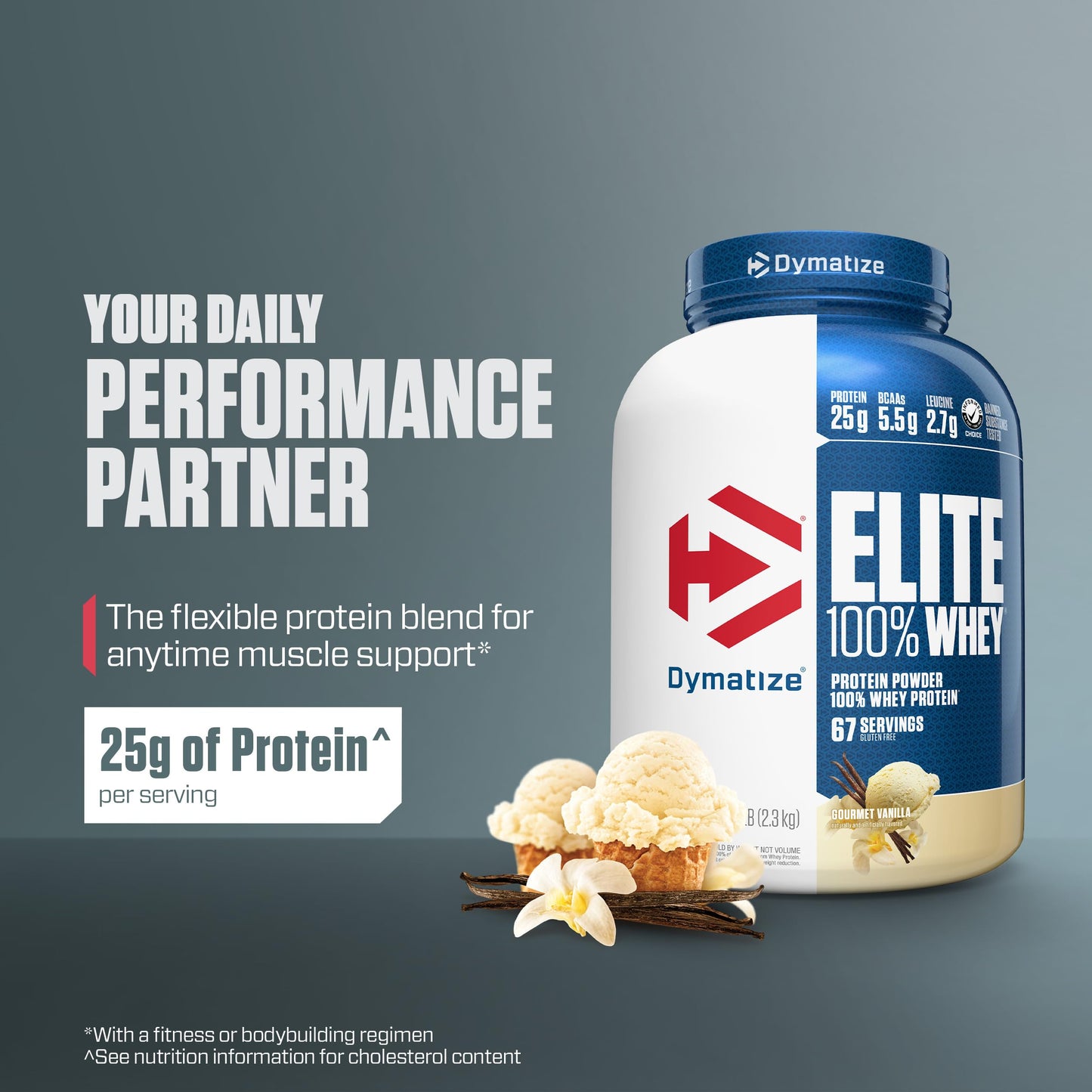 Dymatize Elite 100% Whey Protein Powder Gourmet Vanilla, 80 Servings