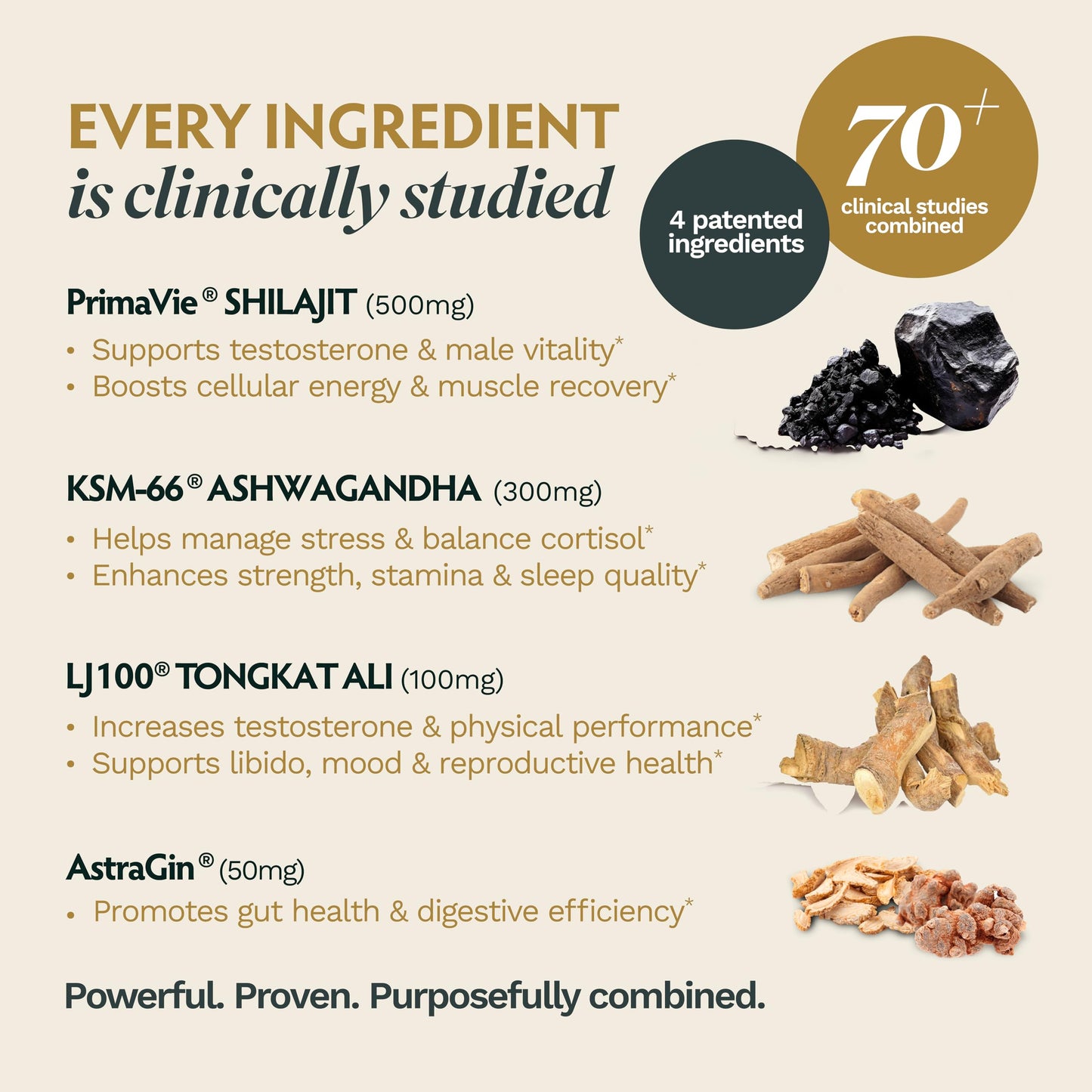 TRIBE ORGANICS Ashwagandha Gold for Men Capsule 60 Count