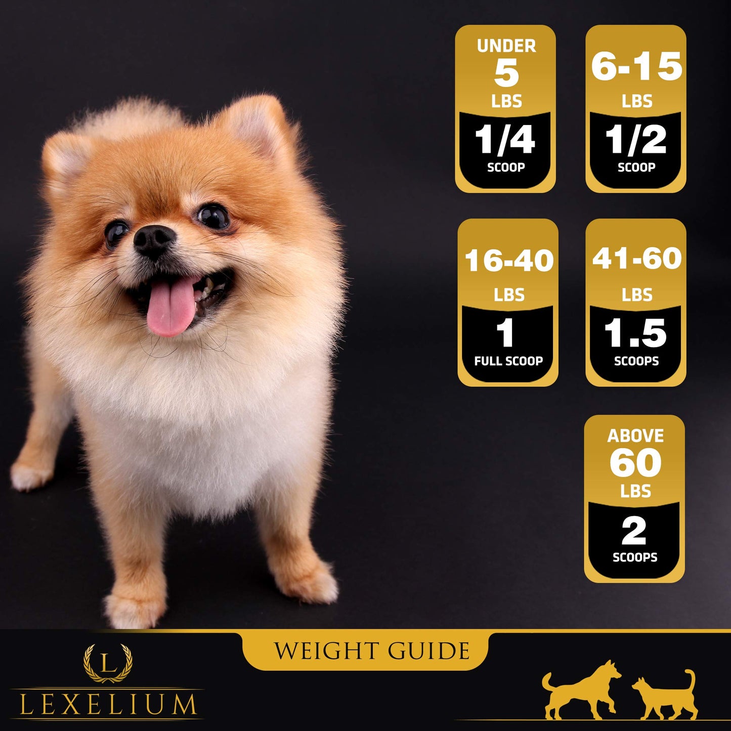 Lexelium Weight Gainer Supplement for Dogs & Cats Powder 200g
