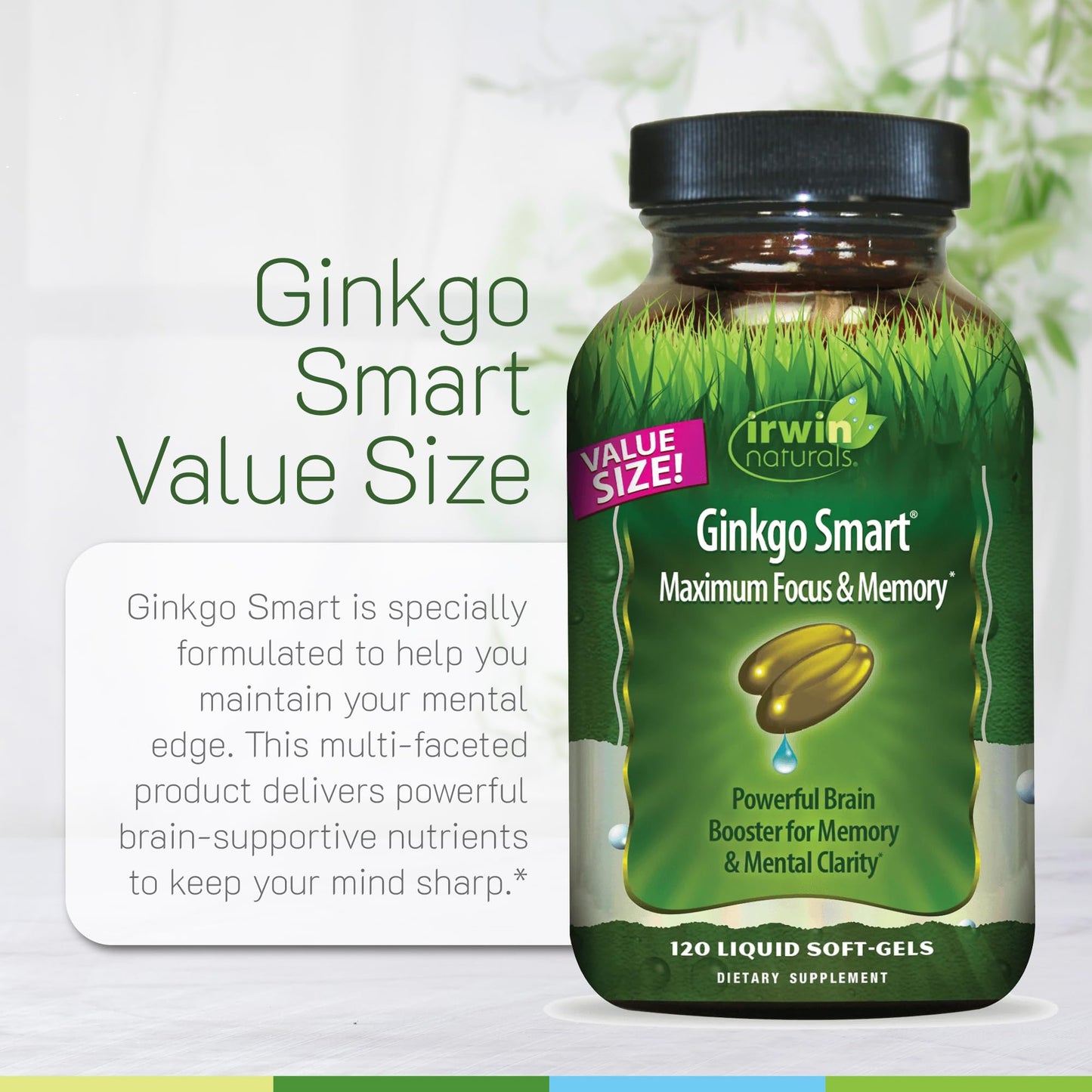 Irwin Naturals Ginkgo Smart Memory & Brain Support Softgel, 120 Count