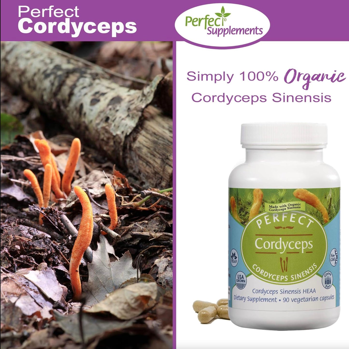 Perfect Supplements Perfect Cordyceps Capsules 90