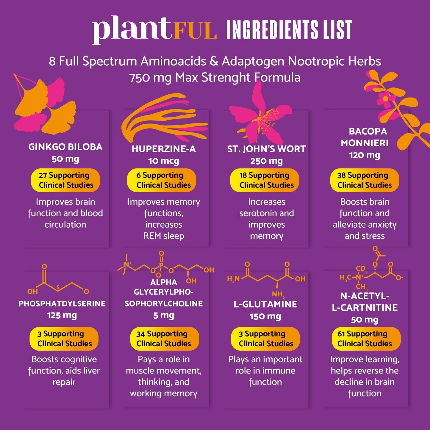 PLANTFUL RESEARCH Nootropic Brain Supplement Powder, 26.45 Ounce