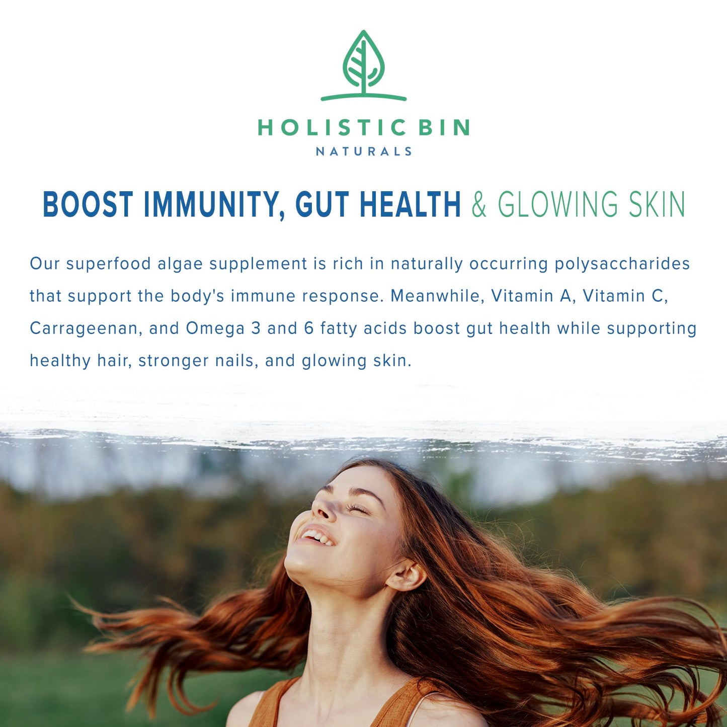 Holistic Bin Red Marine Algae Capsules Gigartina and Dumontiacea Red Algae Supplements, 40 Capsules