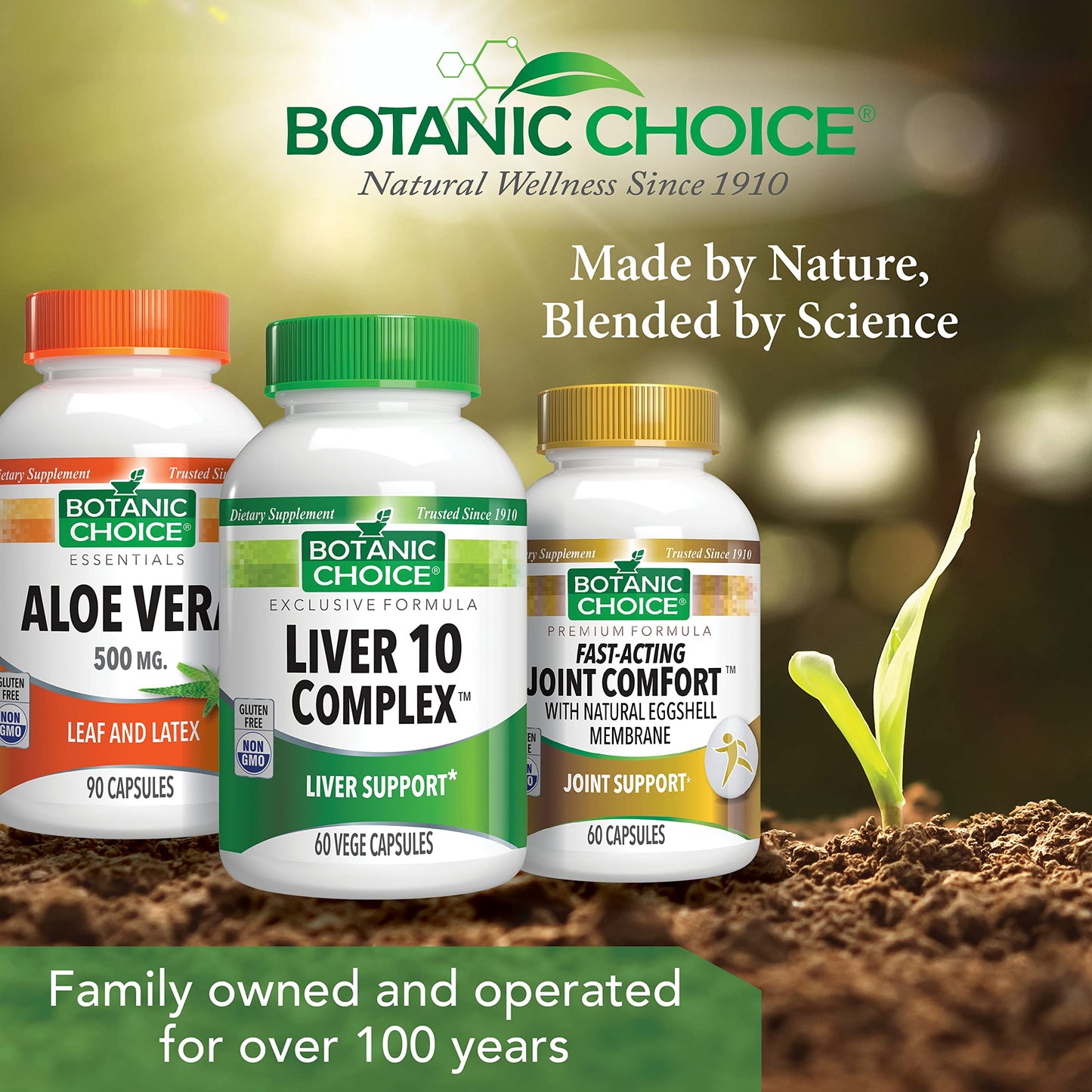 Botanic Choice Liver 10 Complex Capsule 60 Count